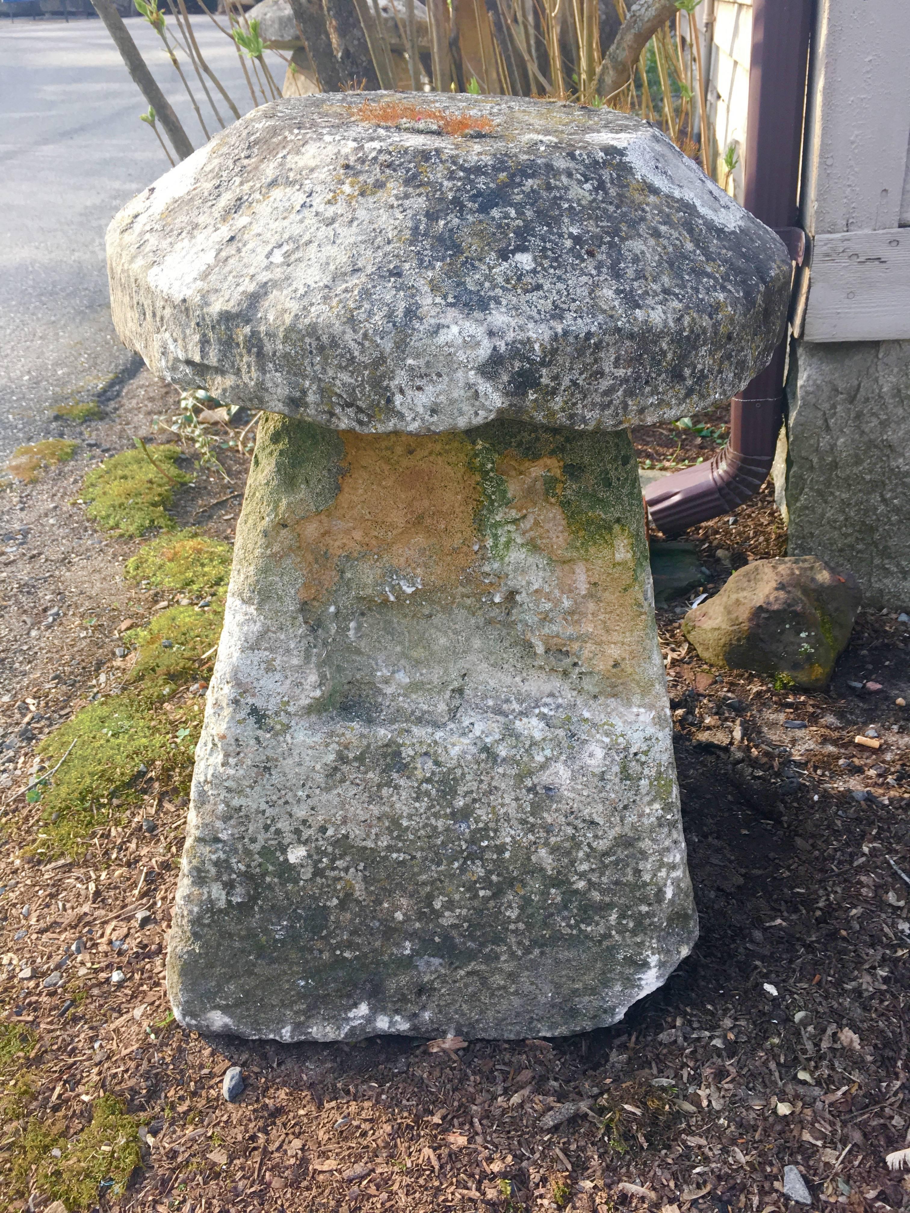 Five English 18th Century Staddle Stones 4