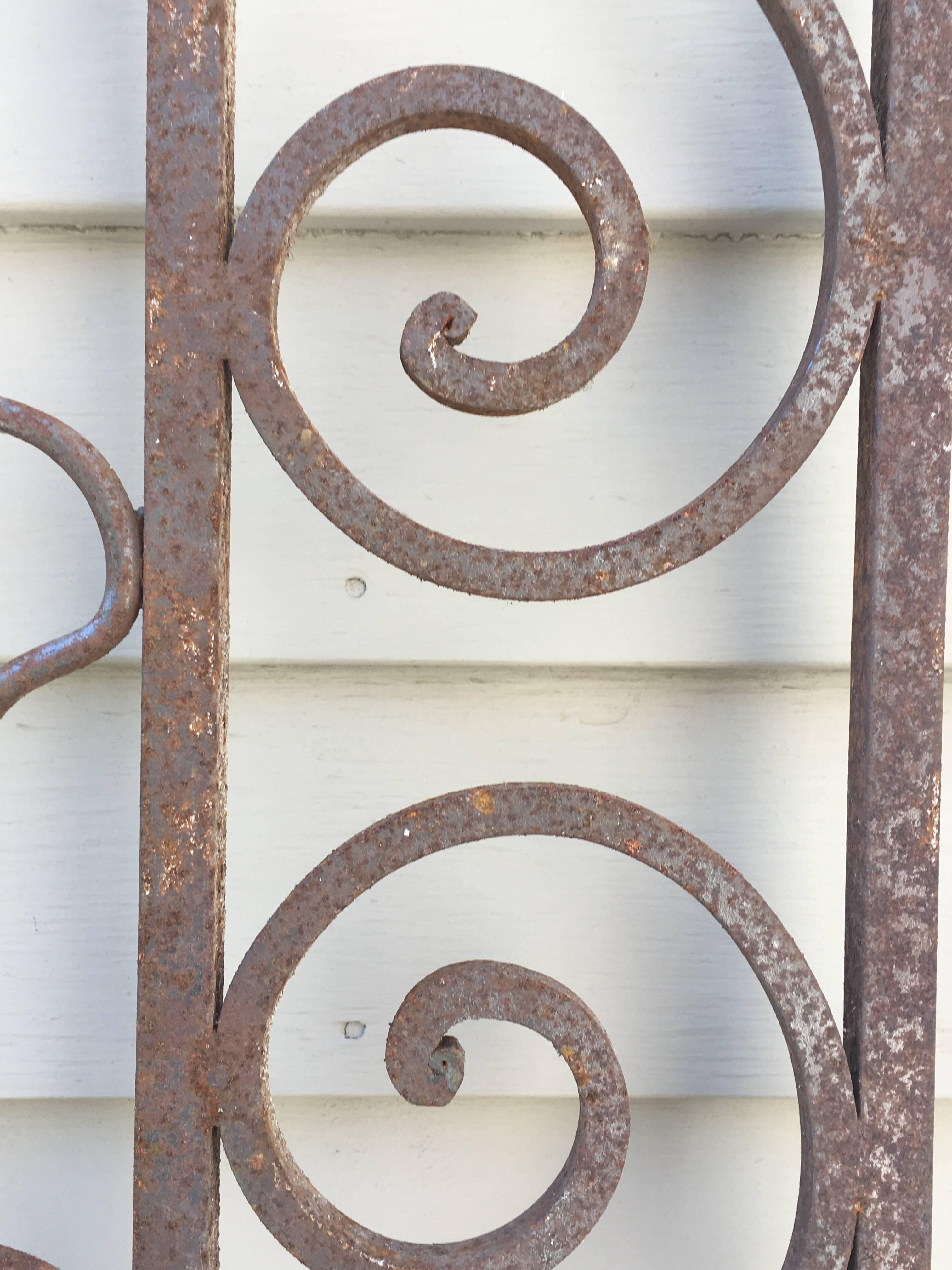 Pair of Tall French Wrought Iron Gates 3