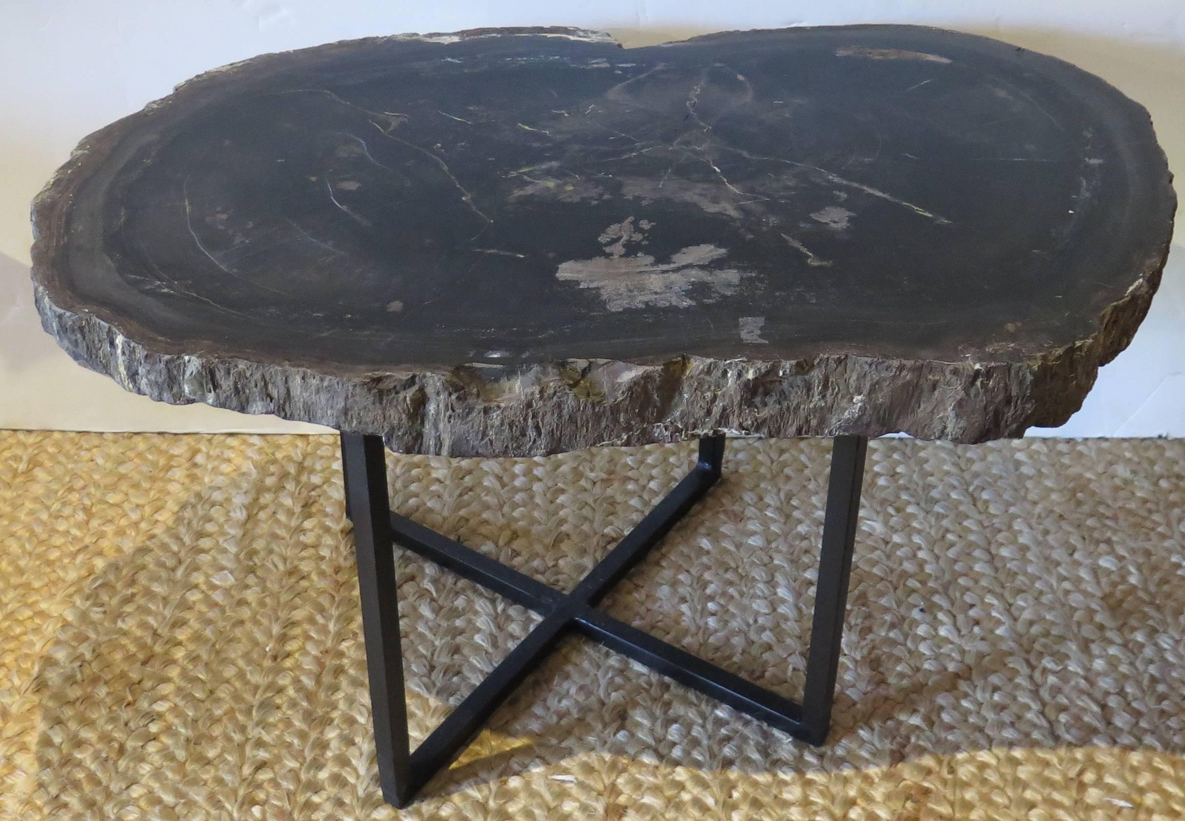 Beautiful slab of petrified wood with custom steel base. Perfect as a cocktail or coffee table.