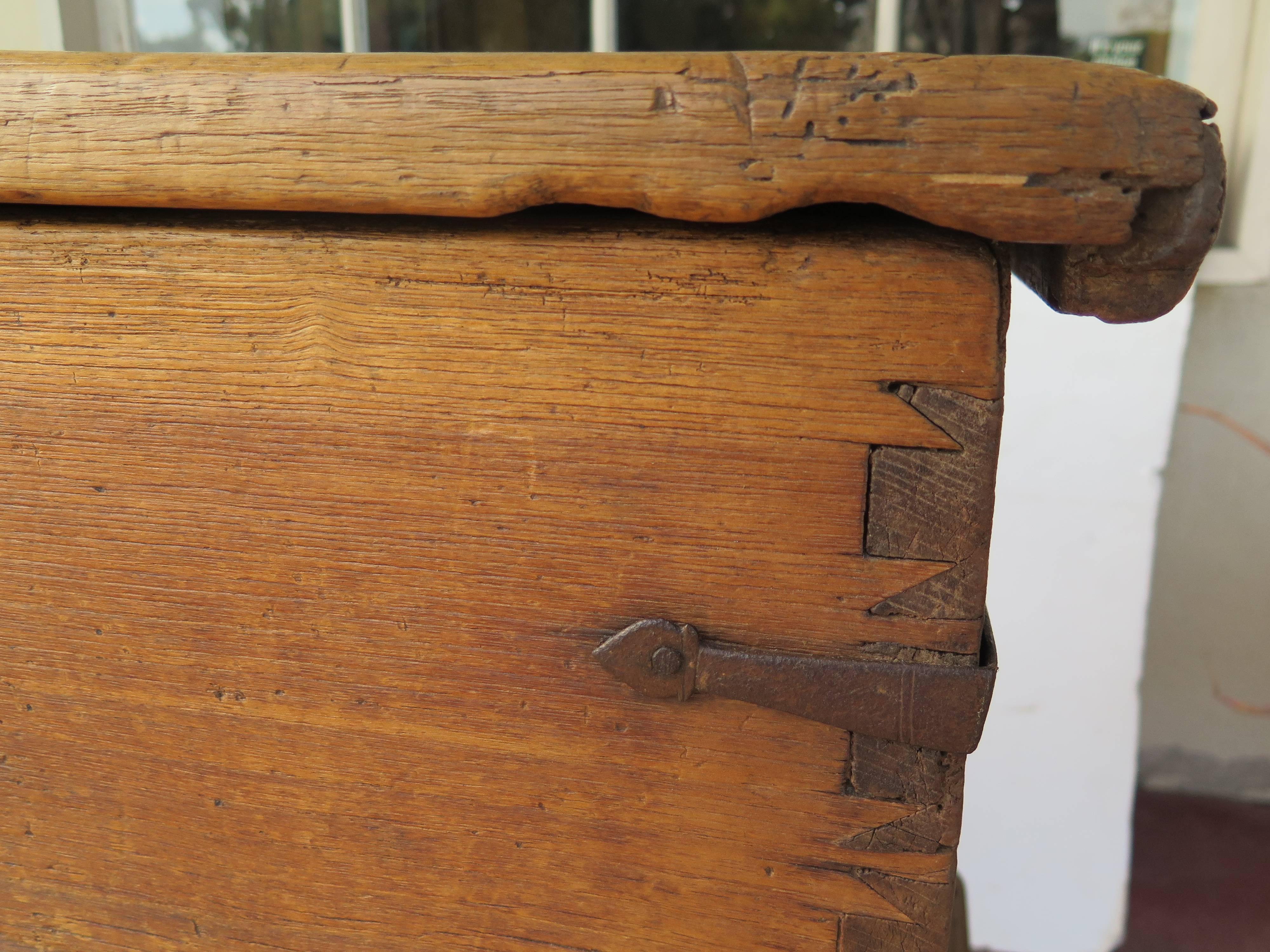 18th Century Mexican Spanish Colonial Sabino Wood Chest on Iron Base 1