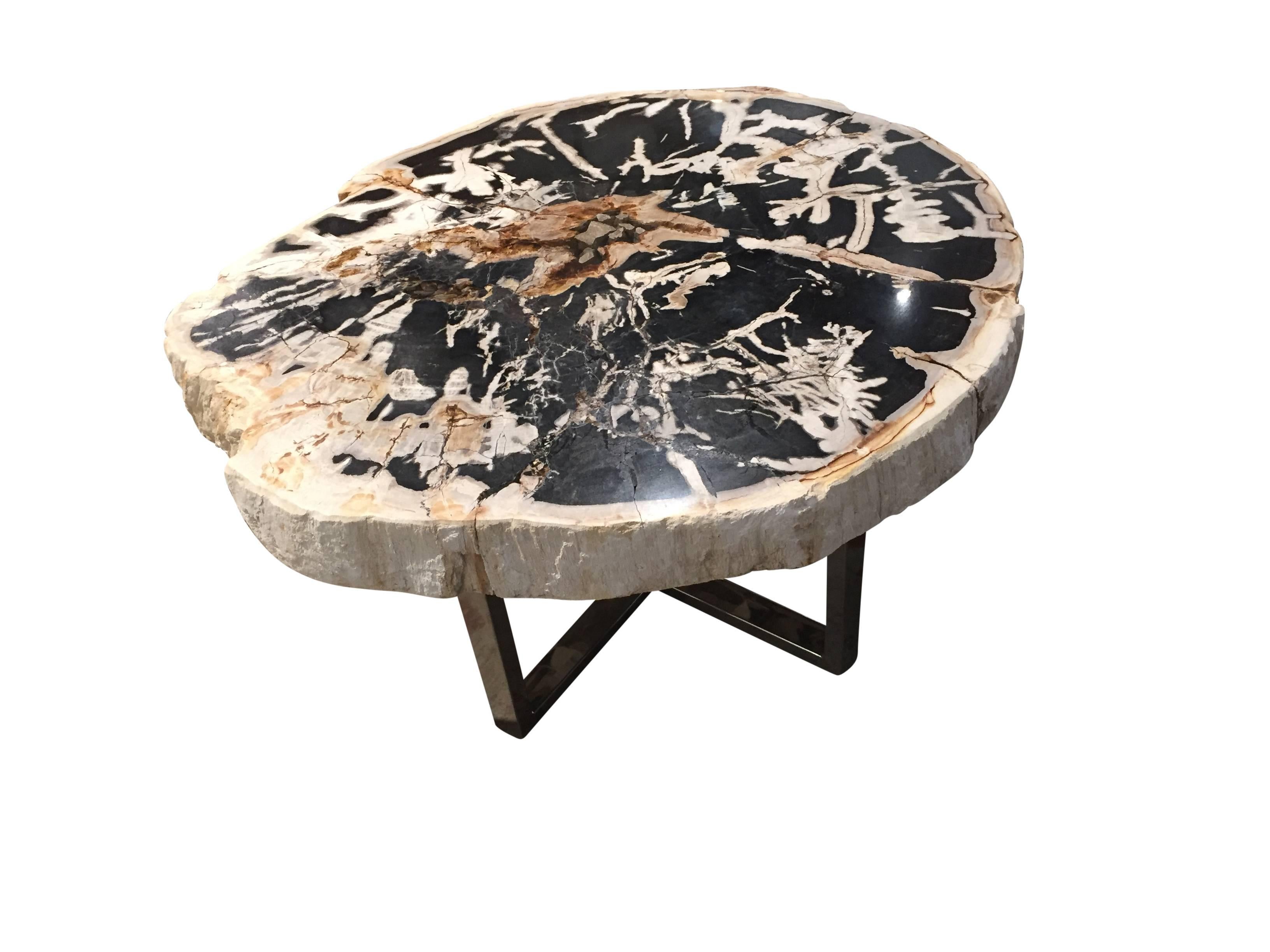 Petrified Wood Table Black and White Chrome Base In Excellent Condition In Montecito, CA