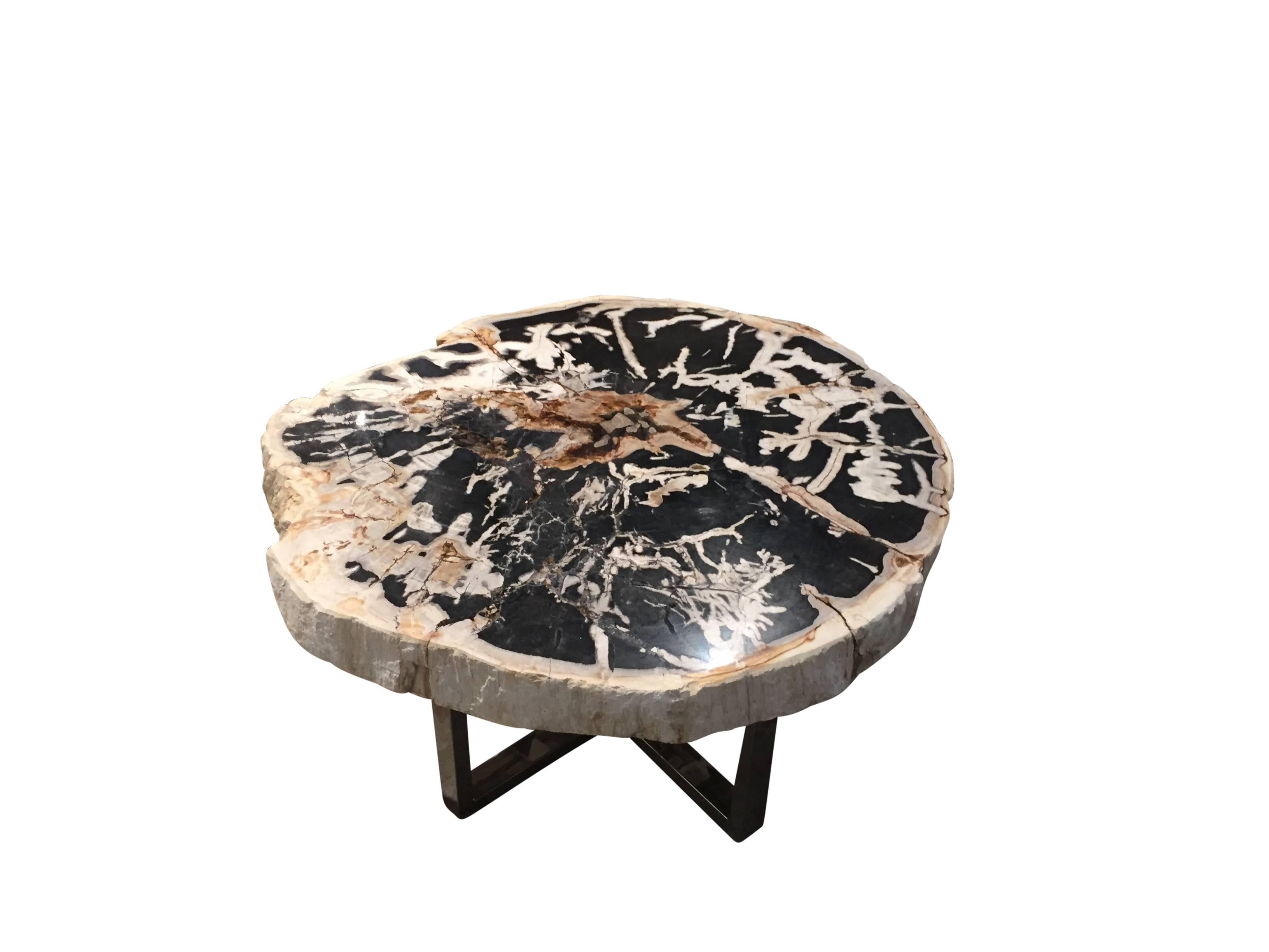 Petrified wood coffee table with modern chrome base.