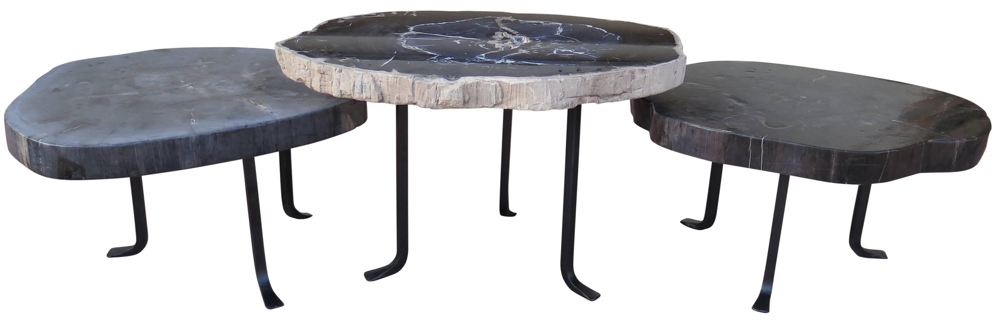 Steel bases hold this grouping of stunning petrified wood slab nesting tables. They are on different levels creating an interesting affect. The individual slabs are all 27-30" wide and 21-23" deep.They come in beautiful gray, white and