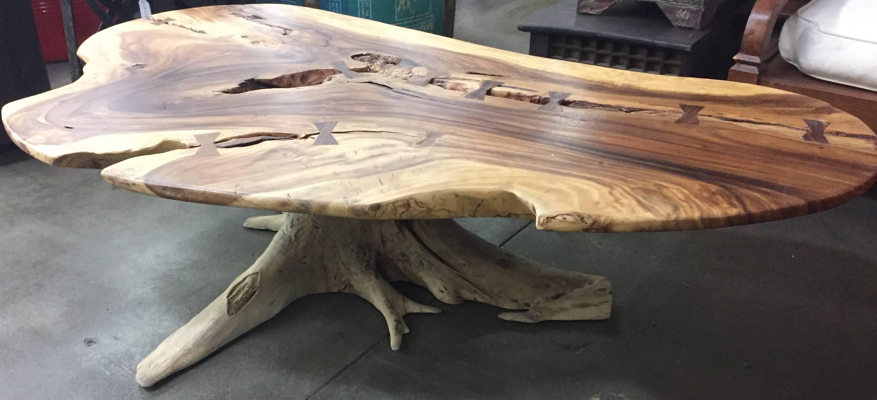 Organic modern coffee table with tree root base.