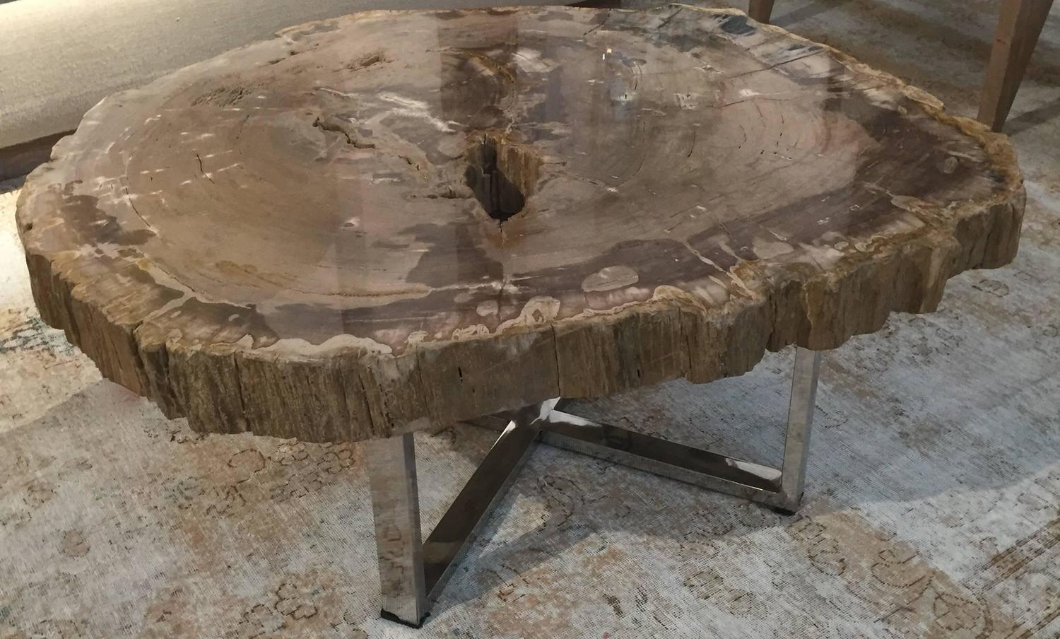 Very Nice Large Modern Petrified Wood Coffee Table with Steel Base at