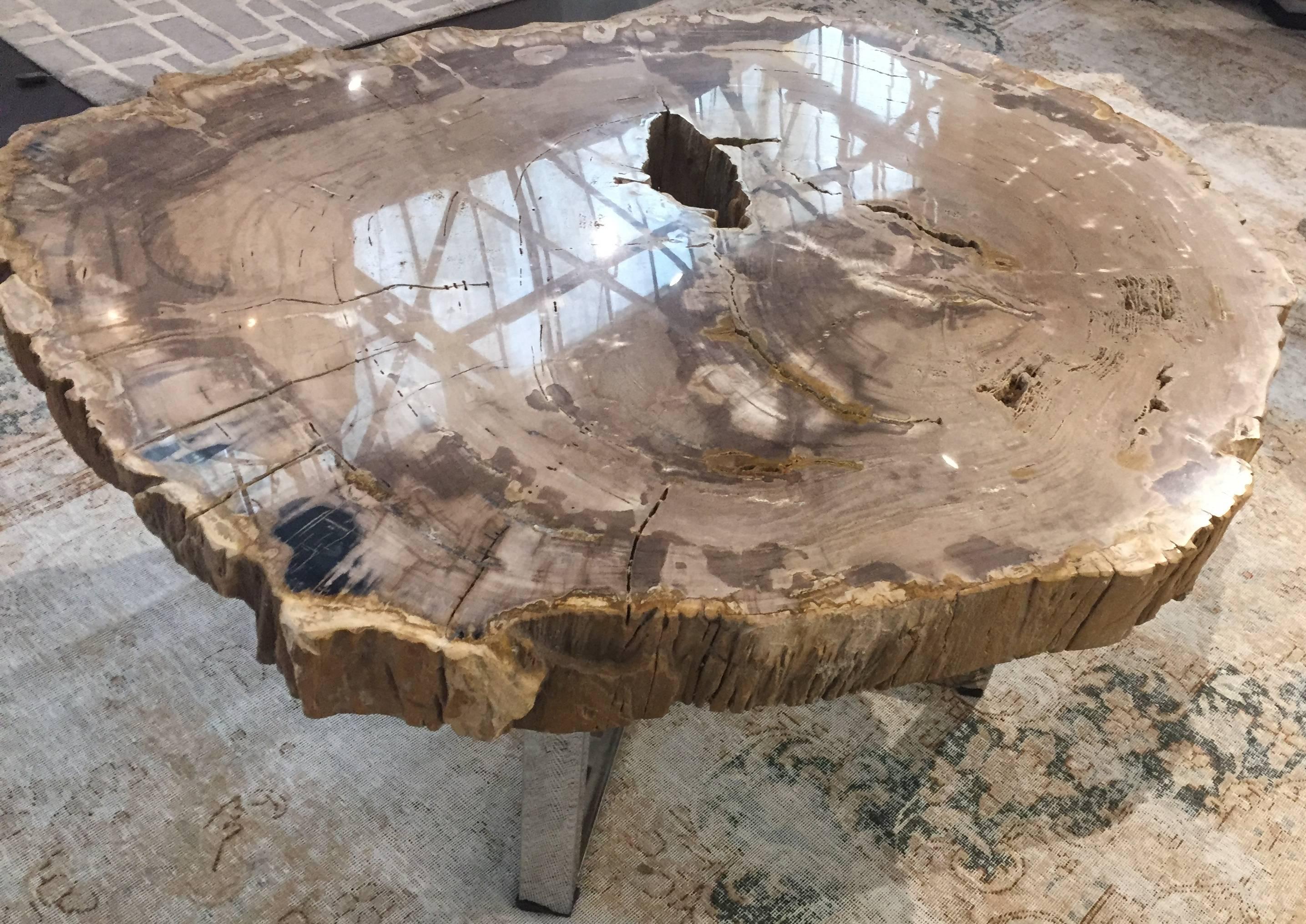 Contemporary Very Nice Large Modern Petrified Wood Coffee Table with Steel Base