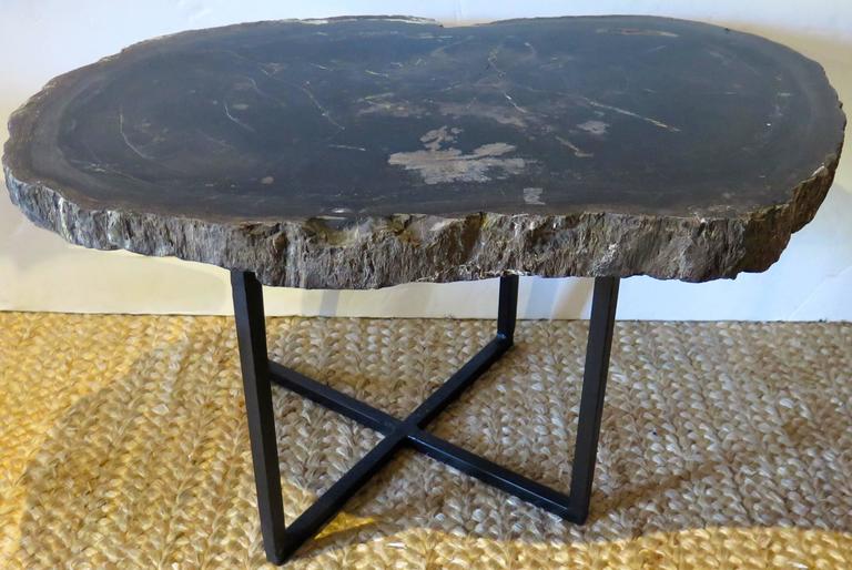 Black and Gray Petrified Wood Coffee or Side Table at 1stDibs