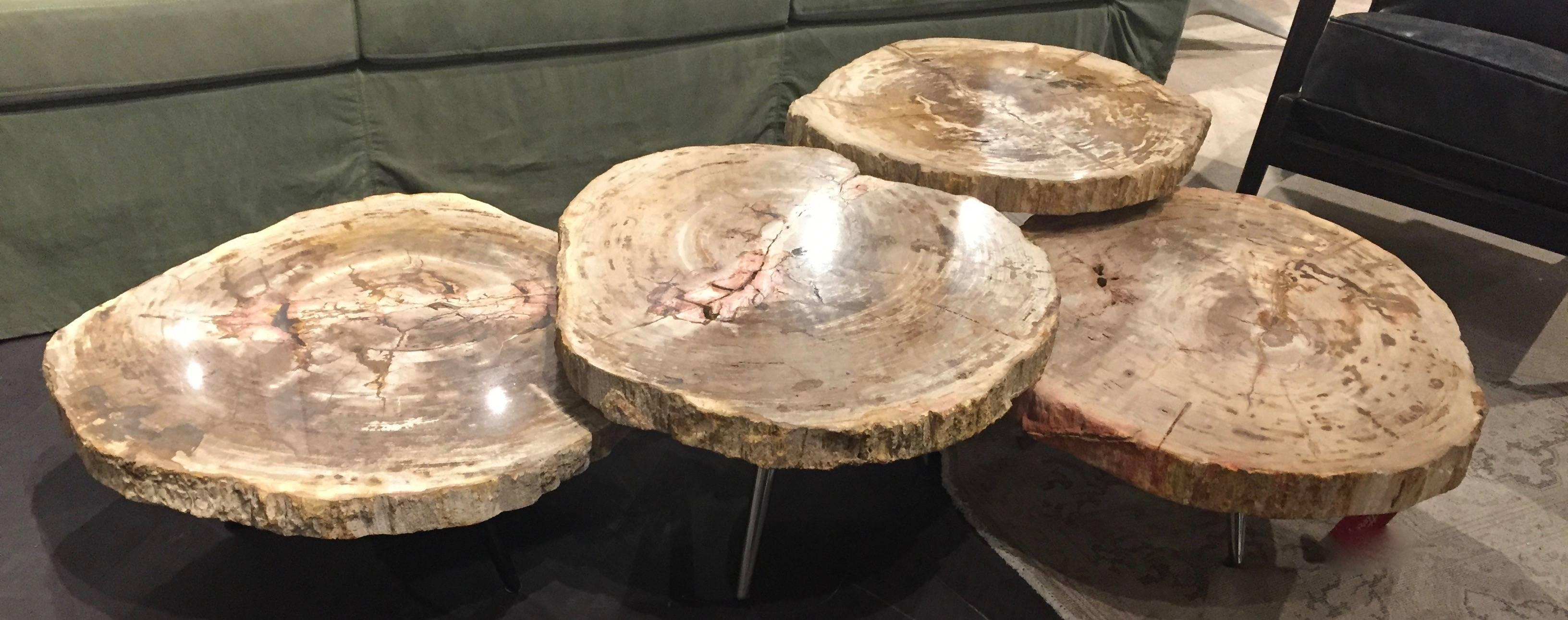 Grouping of (4) Petrified wood tables with steel base. Contact to confirm availability of all tables or to purchase individual table. 

range from 28x 26x 11
24
