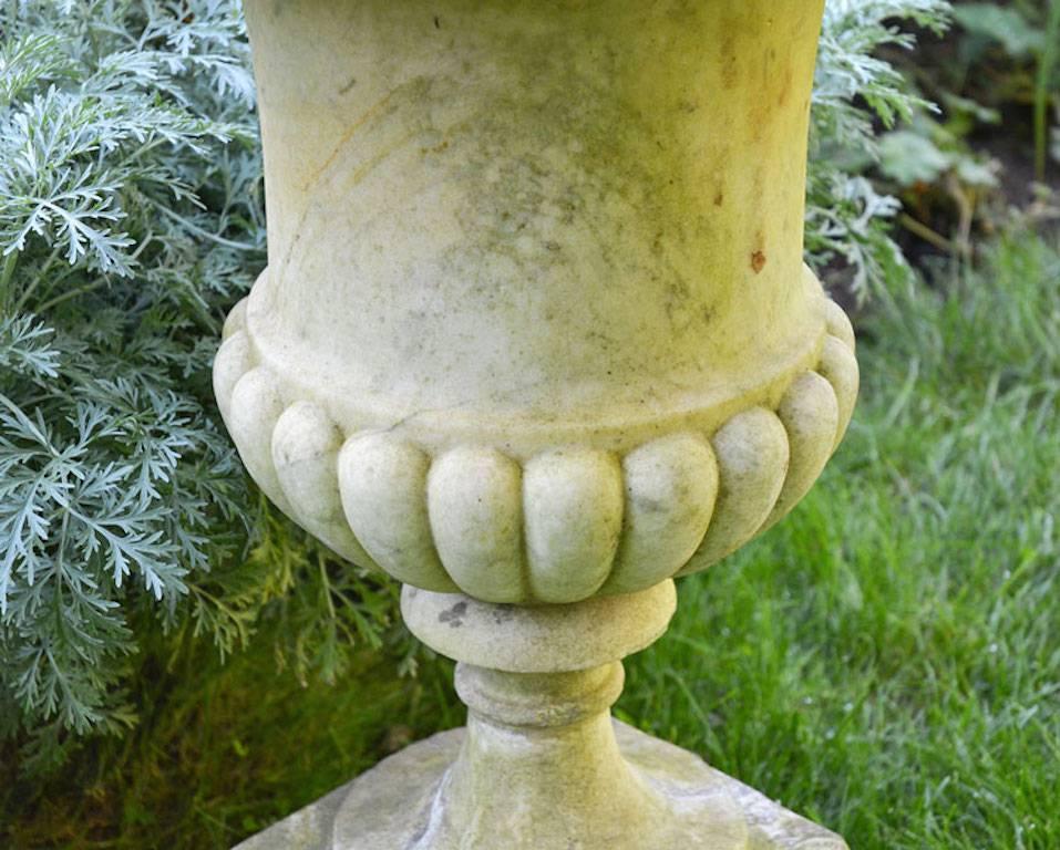 A campana-form carved marble urn, semi-lobed, with molded rising socle and integral square base, English, circa 1820. Drainage hole in body of urn. Measure: 25 ins. high, 19.5 ins. wide; base 9.25 ins. square; interior 5 ins. in diameter, 5.5 ins.