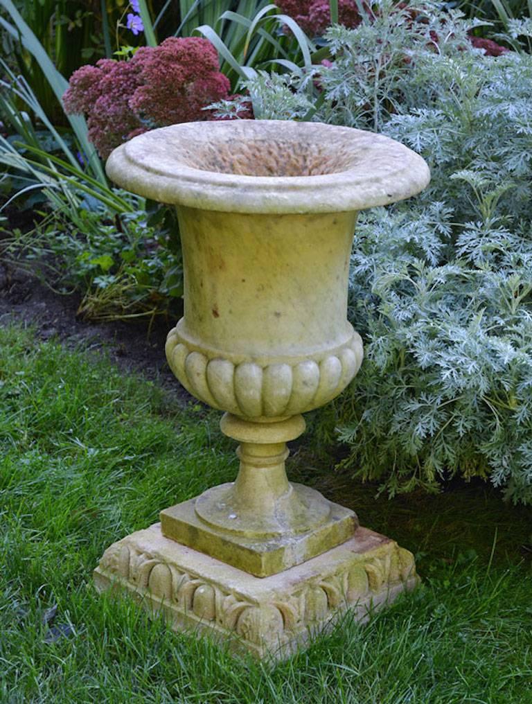 English Neoclassical Marble Urn