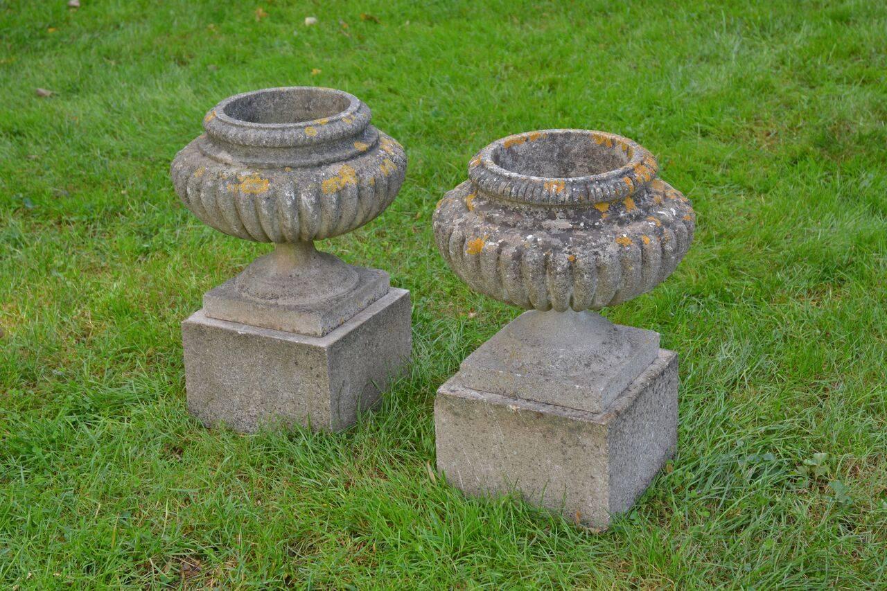 A pair of composition stone urns, with lobed bodies and lobed rim motif, on rising circular socles and integral stone bases, each urn on separate square plinth, English, circa 1940. Measure: Overall height 24 ins., overall diameter 16.5 ins.,
