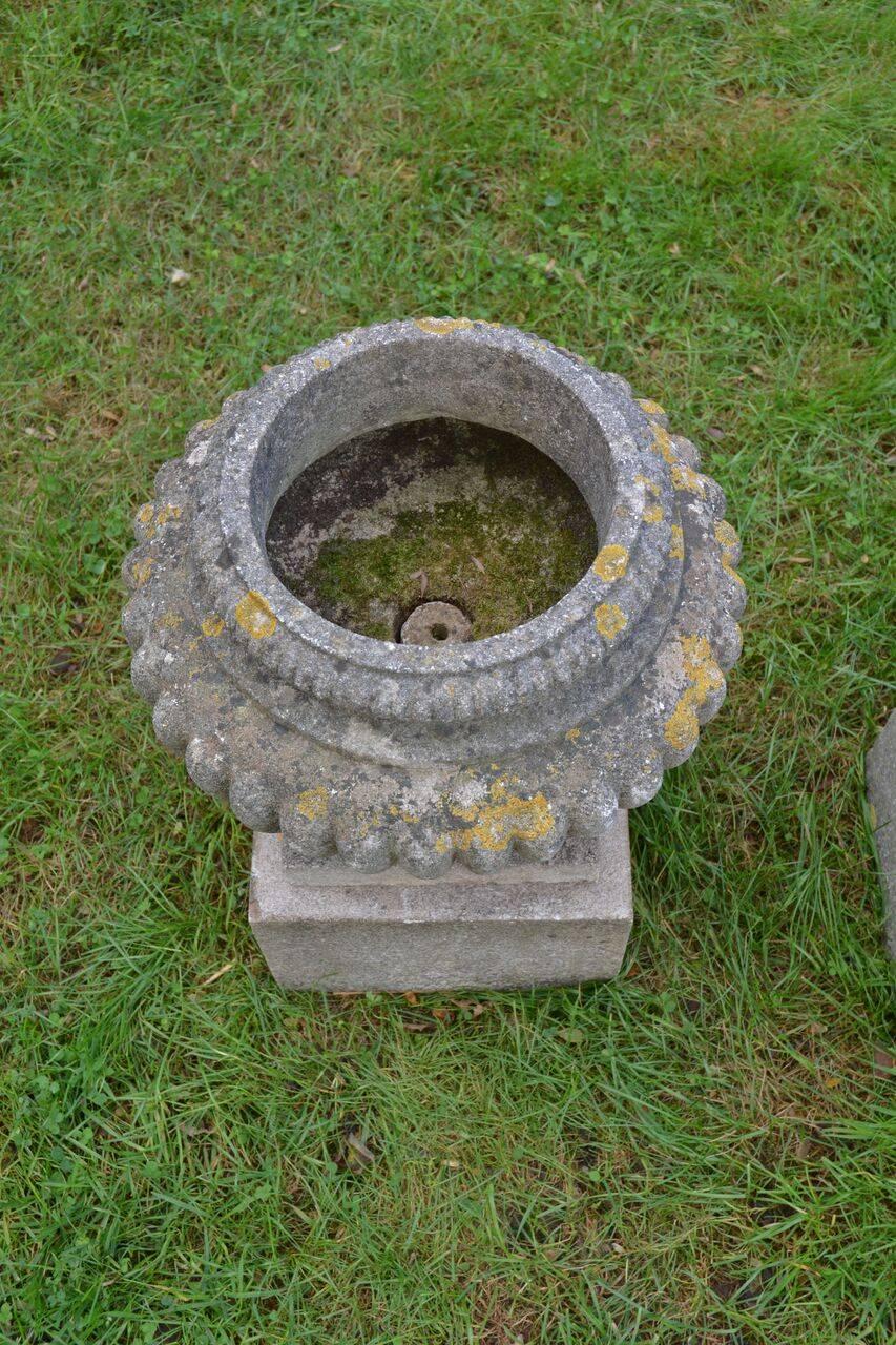 Cast English Stone Urns on Bases