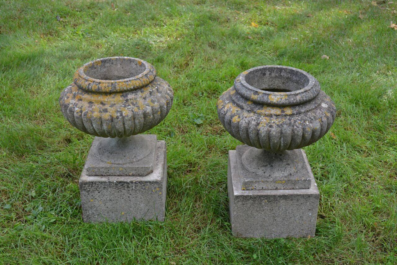 20th Century English Stone Urns on Bases