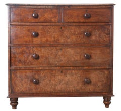 English Early 19th Century Burl Oak Chest of Drawers