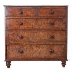 English Early 19th Century Burl Oak Chest of Drawers 5