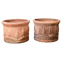 English Pair of 19th Century Terracotta Decorated Planters