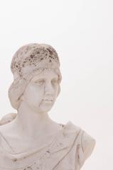 French 19th Century Carved Marble Bust of a Robed Lady
