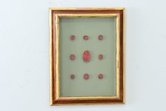 Set of French 19th Century Wax Cast Intaglios in New Frames