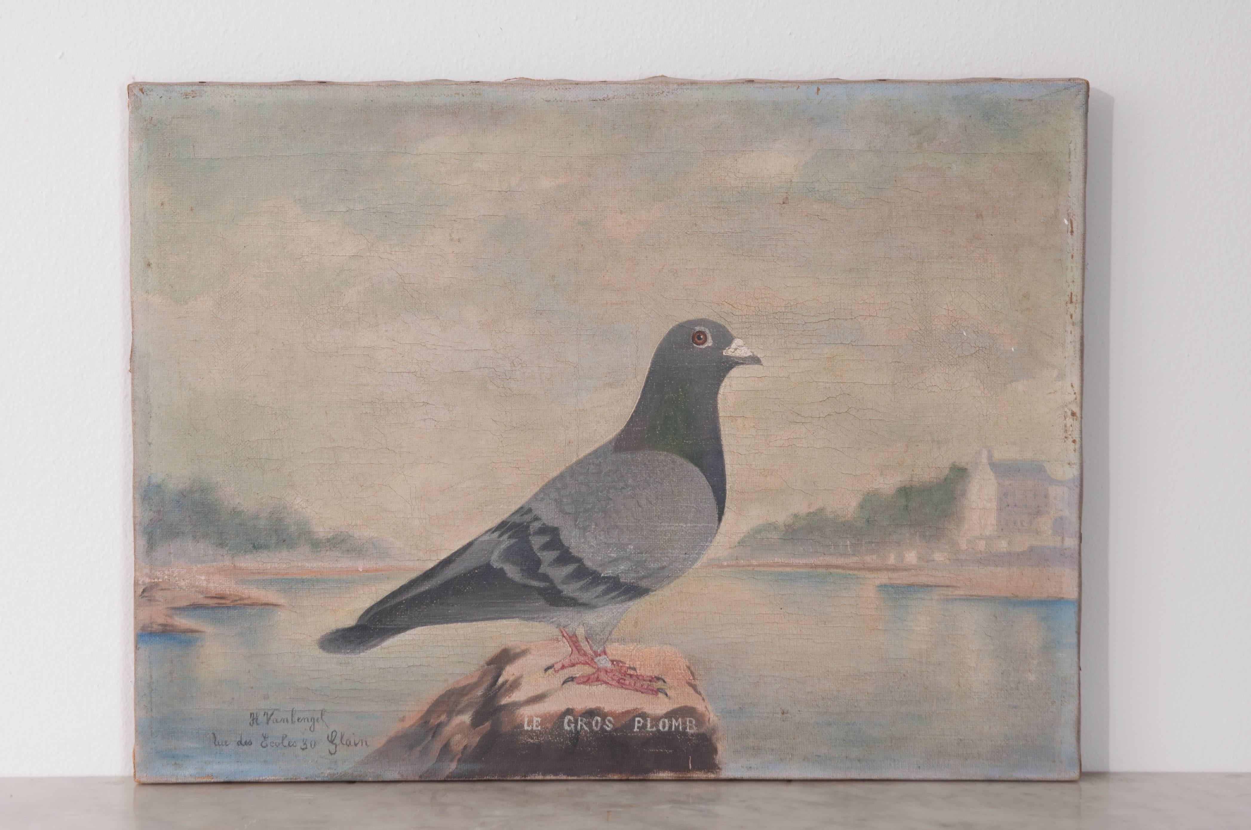 A stunning antique painting from 19th century, France. The work depicts a single pigeon that has been banded. The pigeon is a racing pigeon. Beginning in England and Belgium during the 19th century, pigeon racing quickly caught on and spread