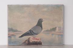 19th Century French Painting of a Racing Pigeon
