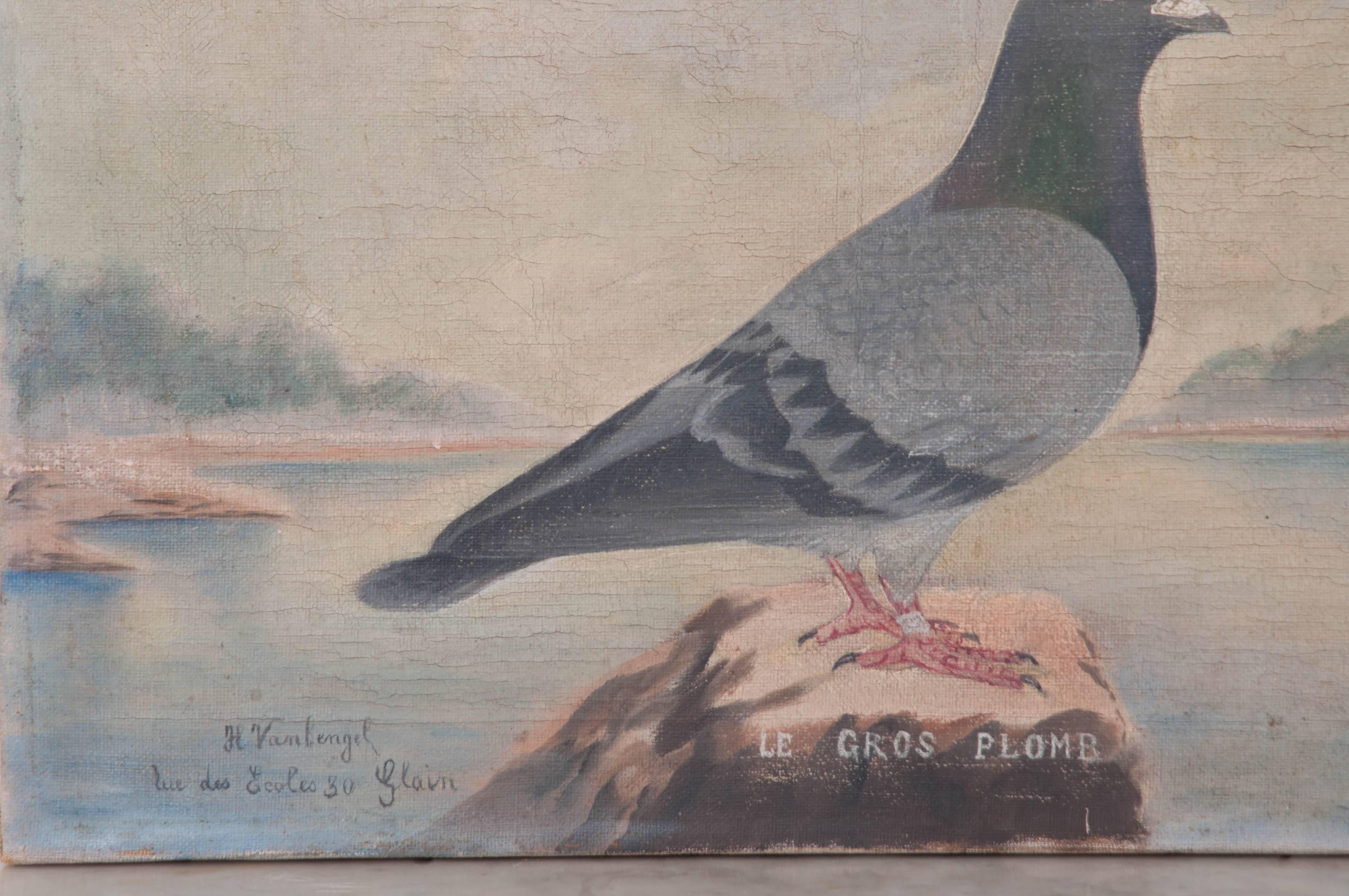 pigeon painting images