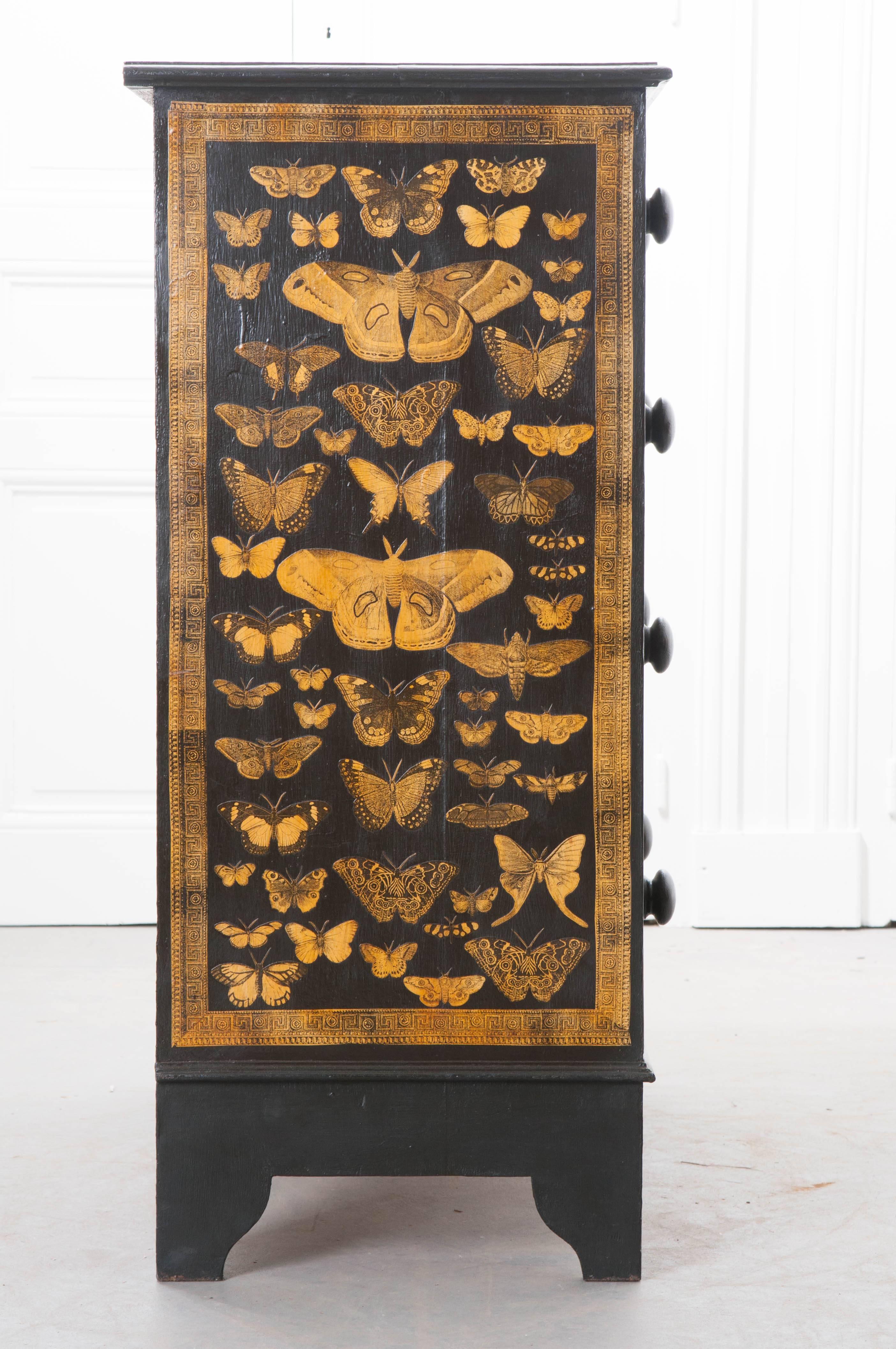 19th Century Victorian Decoupaged Moth Chest 3