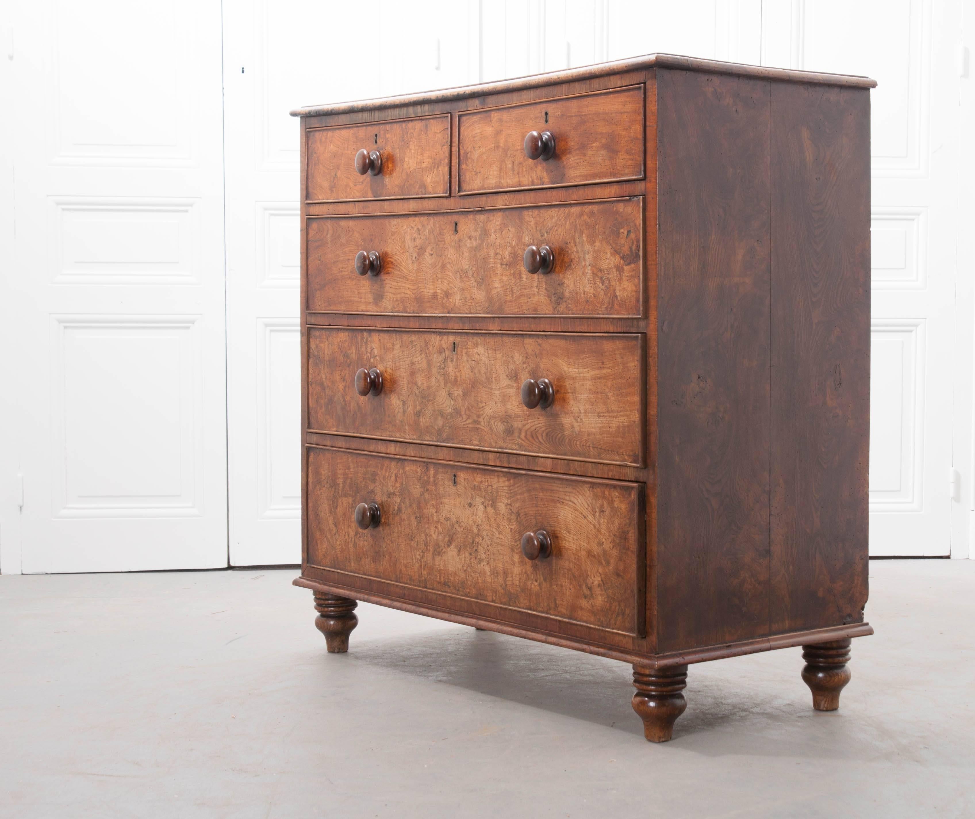 English Early 19th Century Burl Oak Chest of Drawers 2