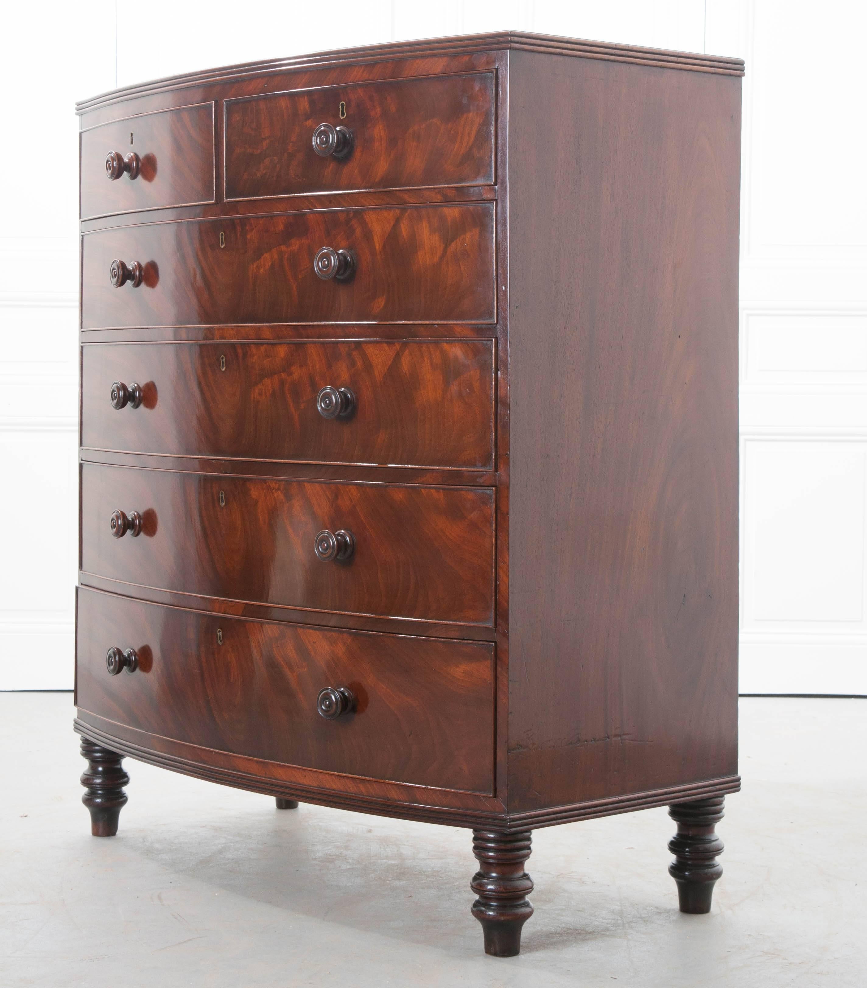 Regency English 19th Century Mahogany Bow Front Chest of Drawers