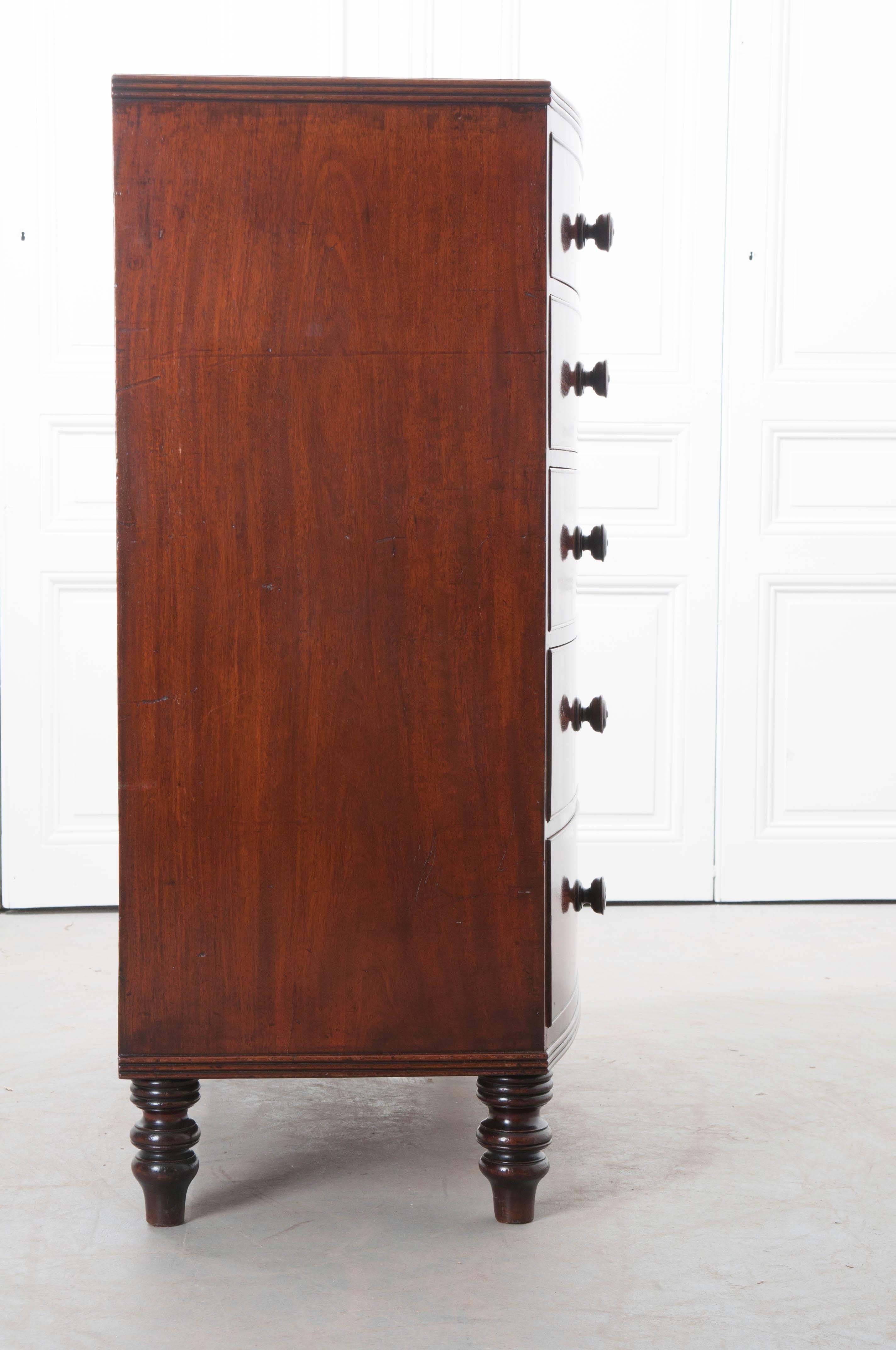 English 19th Century Mahogany Bow Front Chest of Drawers 1