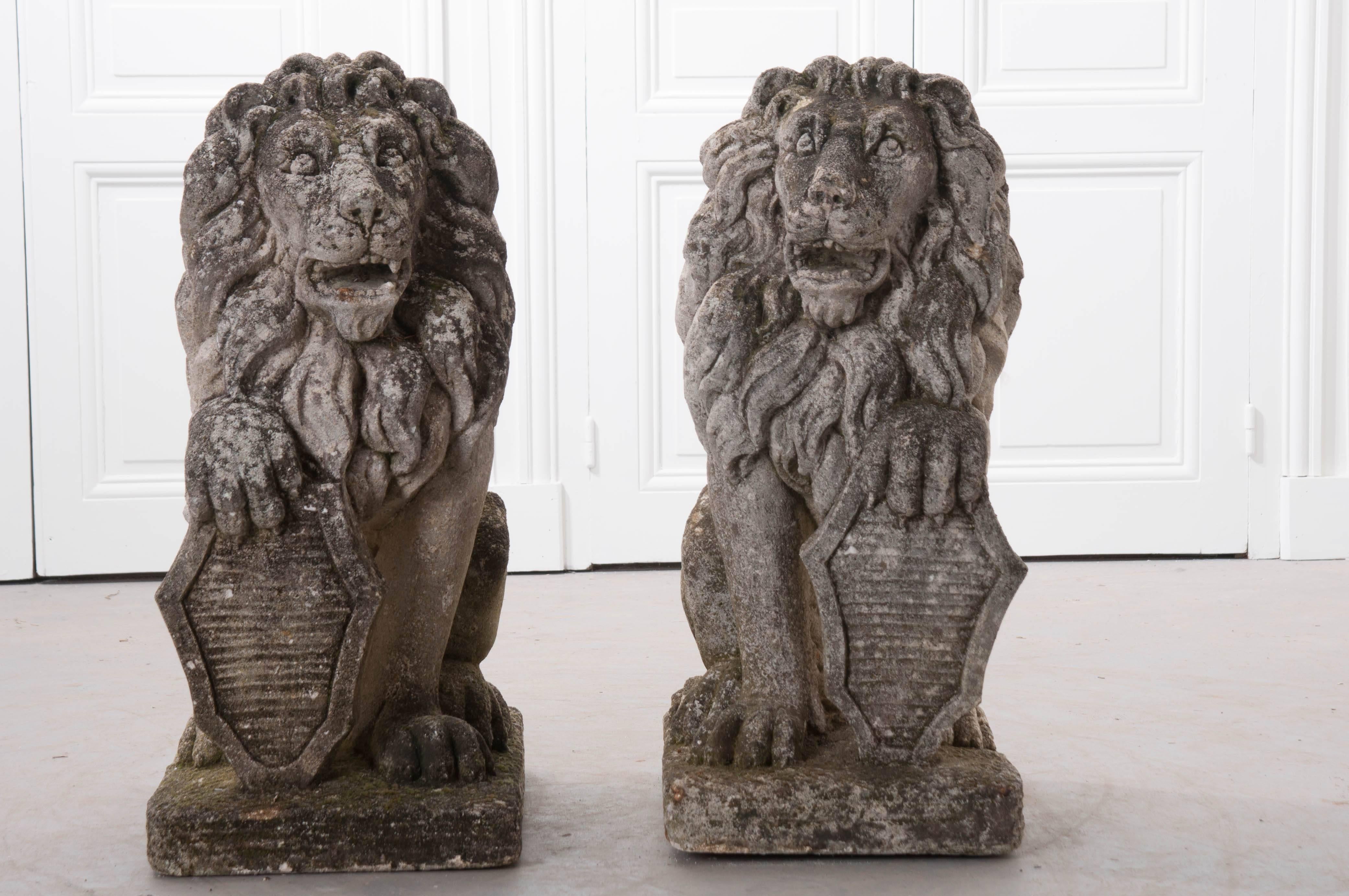 A regal pair of reconstituted stone lions from 19th century, England. These cats are superbly patinated and ready for your garden. Each lion has a wonderfully detailed mane, and is holding a shield. Protect your home with these intimidating sentries