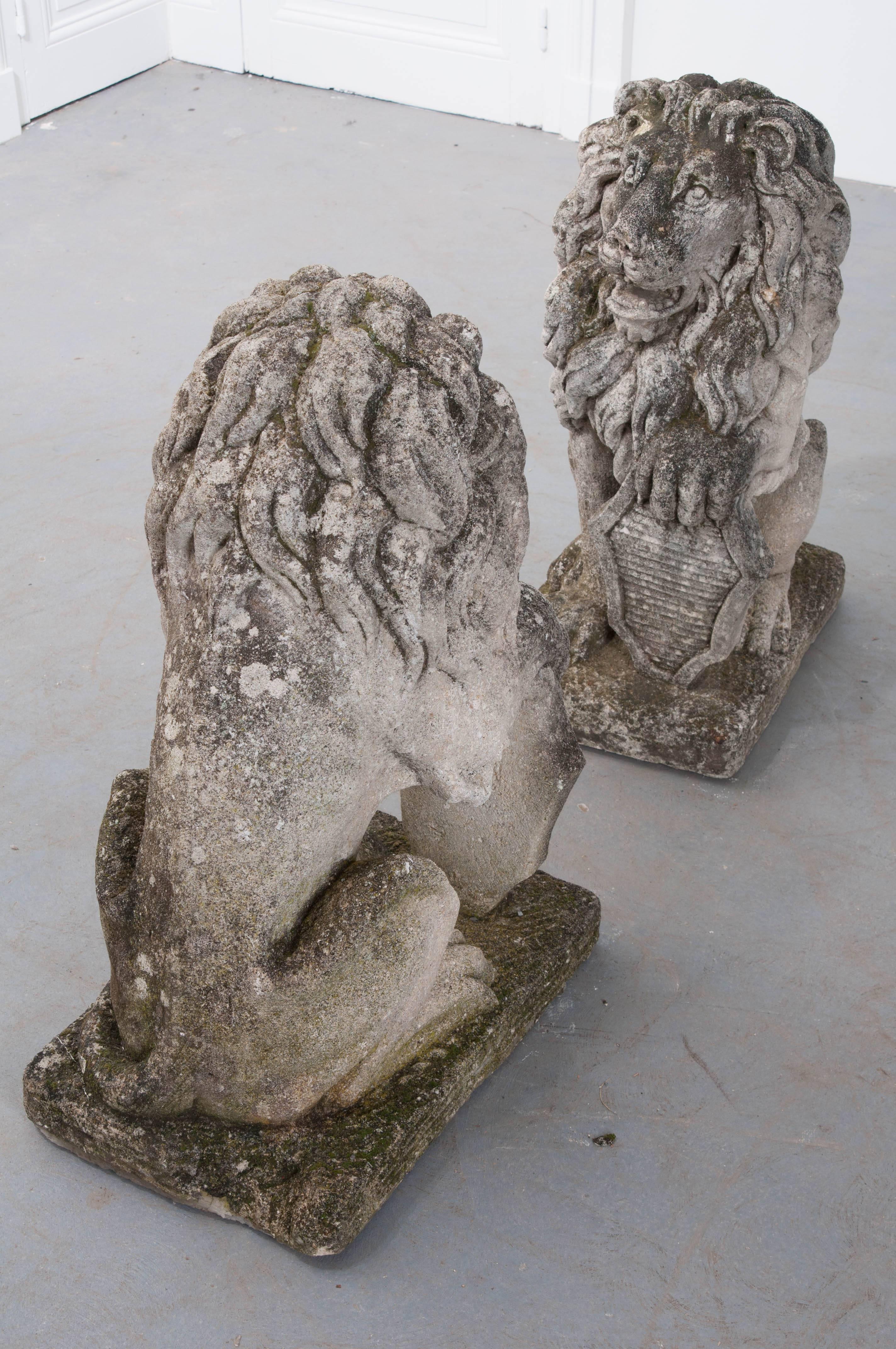 Pair of 19th Century English Stone Lions 5