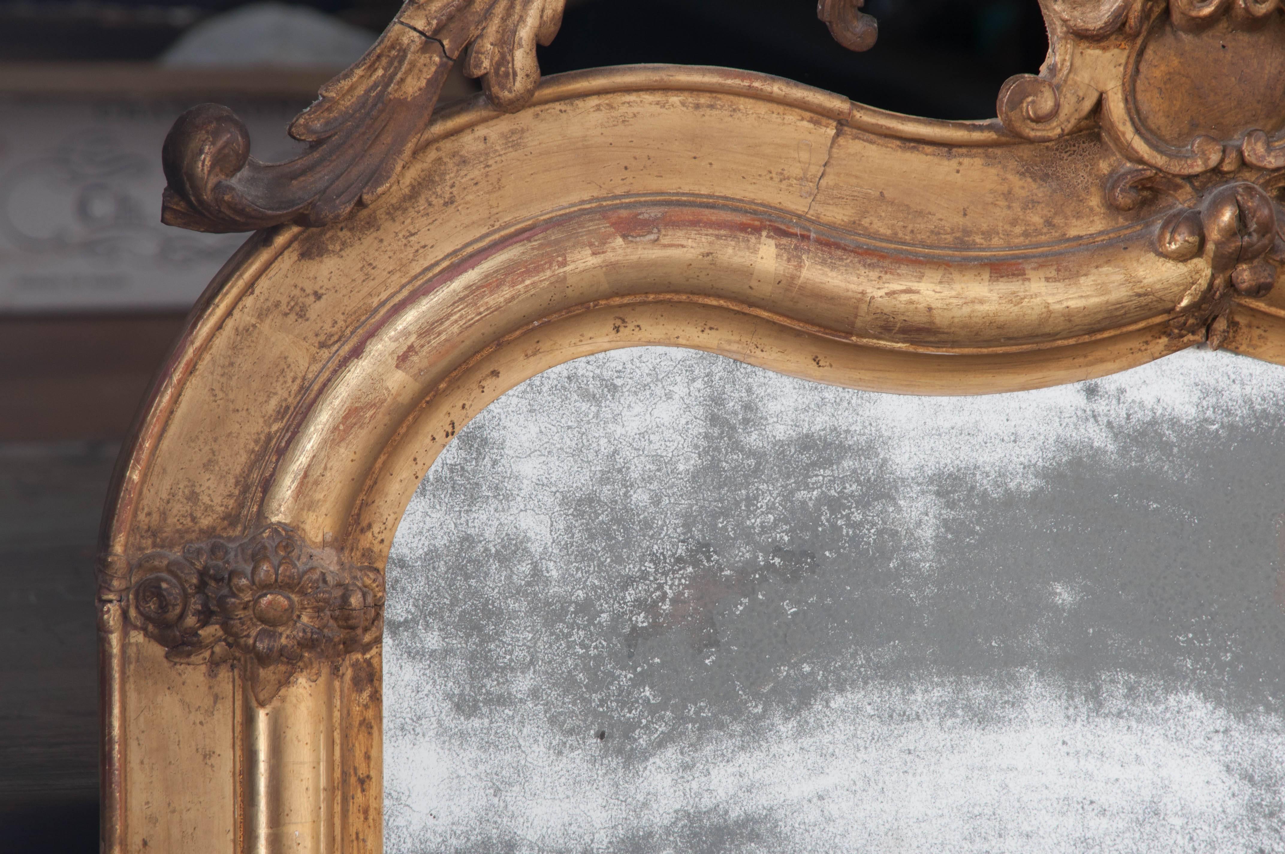 French 19th Century Gold Gilt Mirror 3