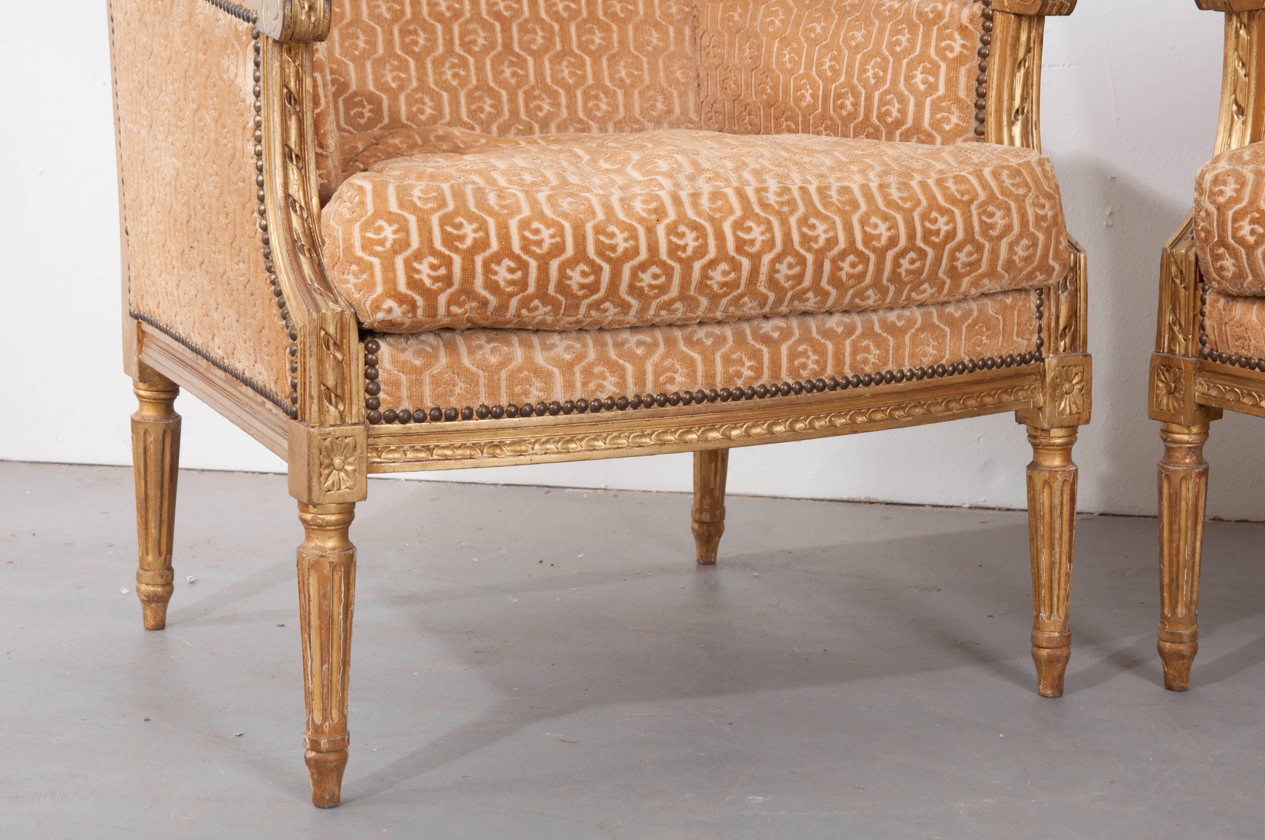 Velvet Pair of French 19th Century Louis XVI Gold Gilt Wingback Bergères