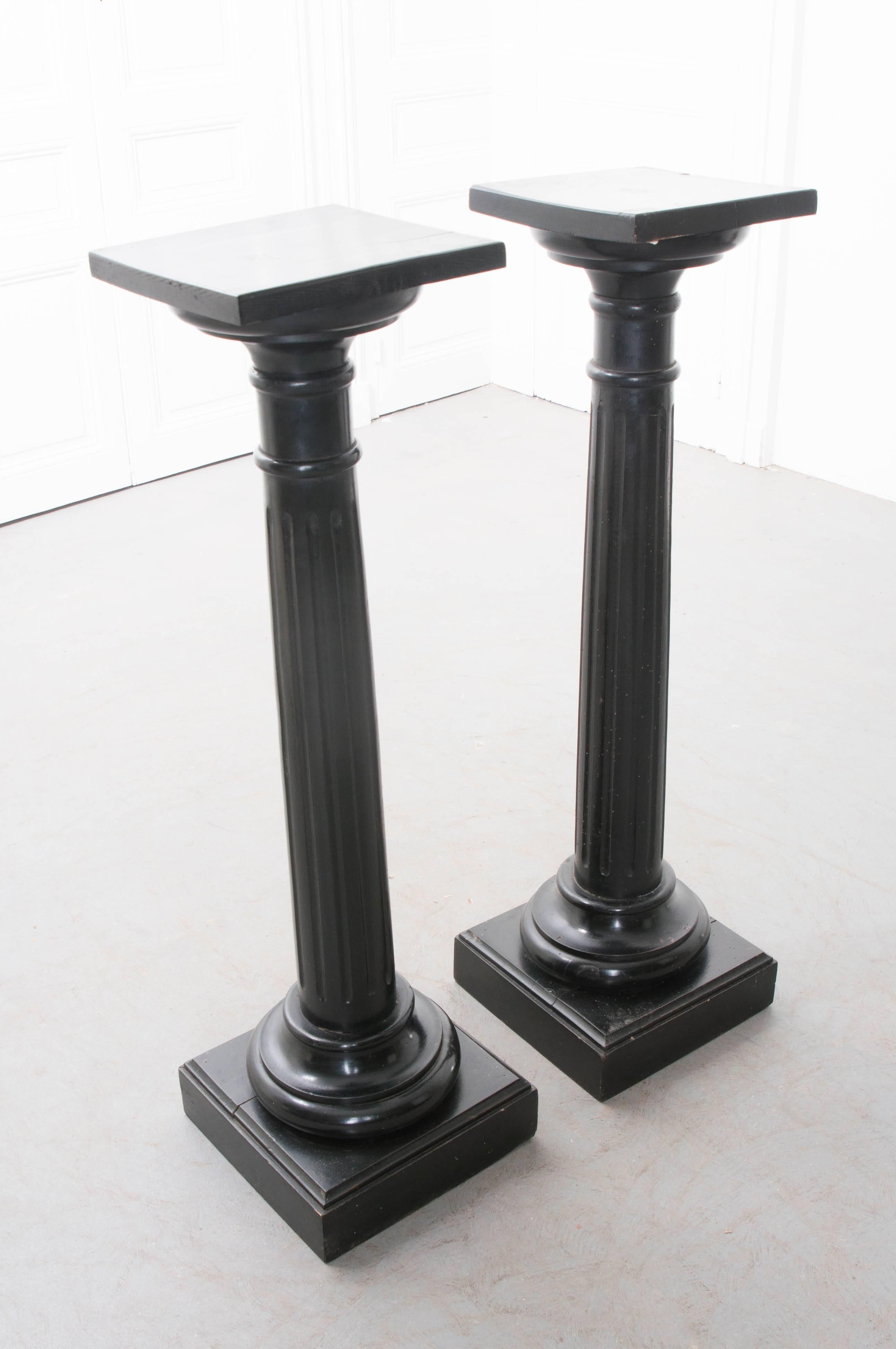 Pair of 19th Century French Ebony Columns 1