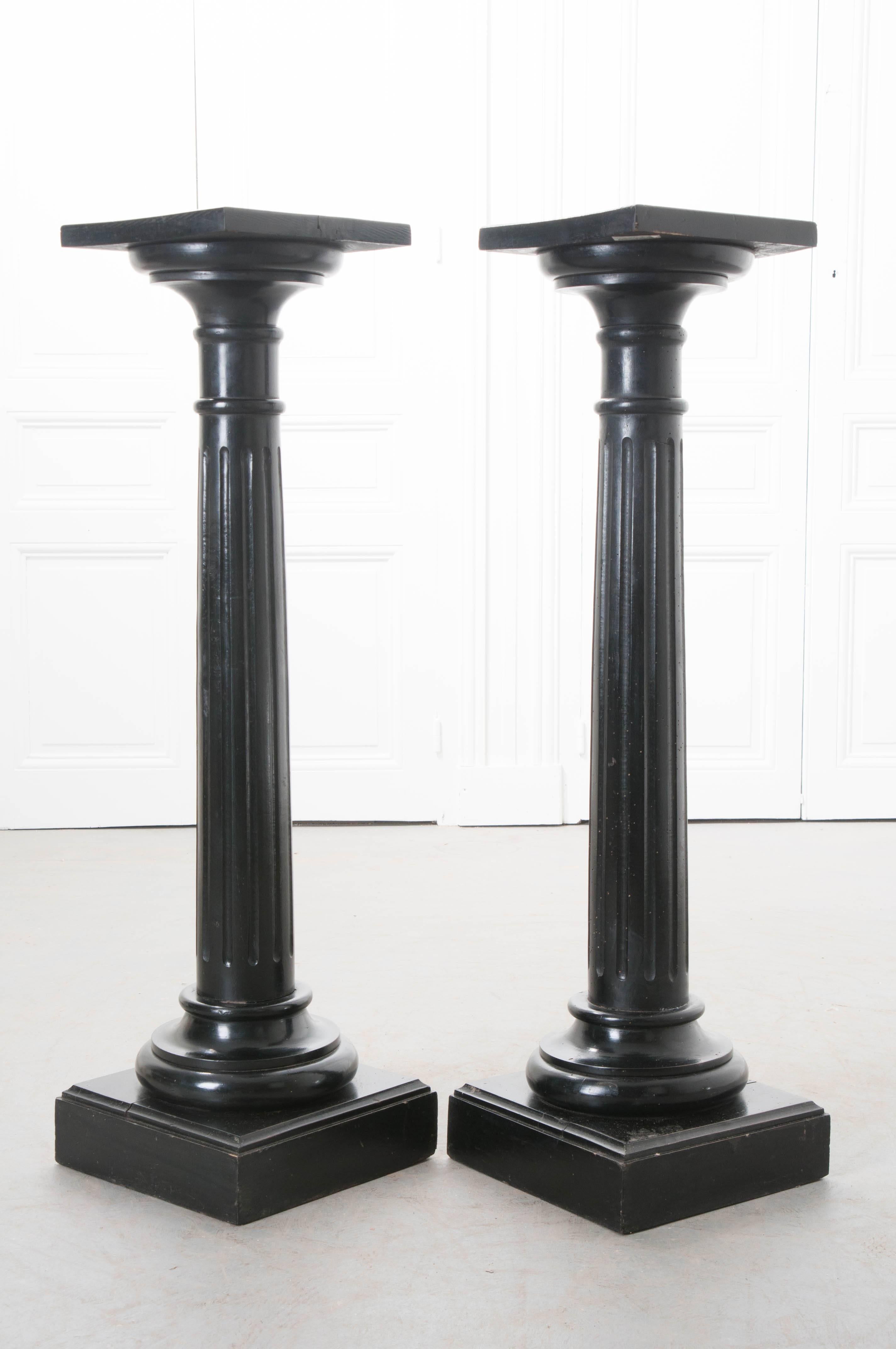 Pair of 19th Century French Ebony Columns 2