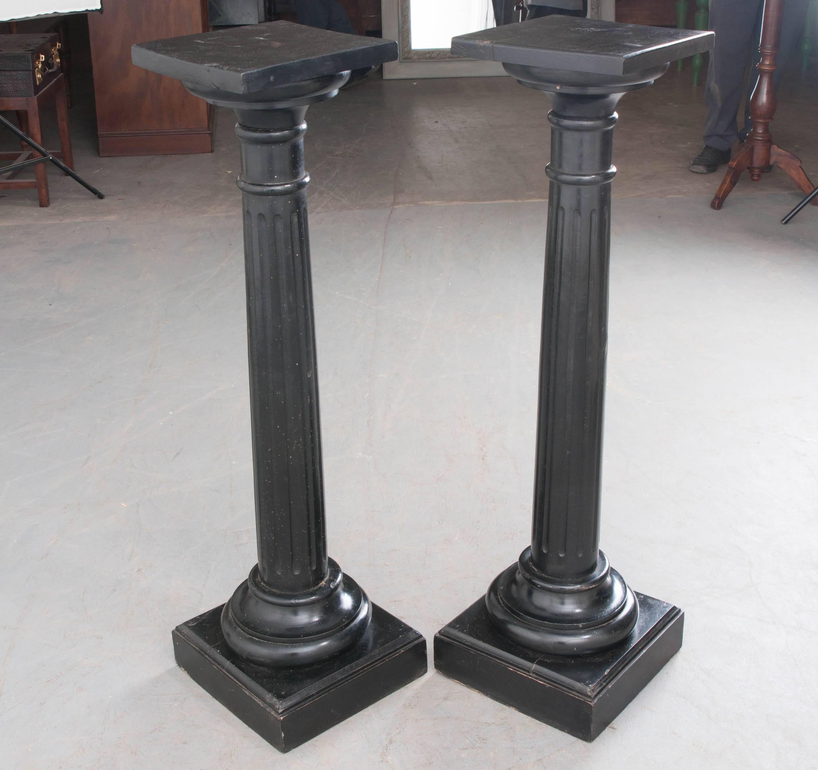 Pair of 19th Century French Ebony Columns 4