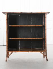 English 19th Century Bamboo Découpage Fish Bookcase
