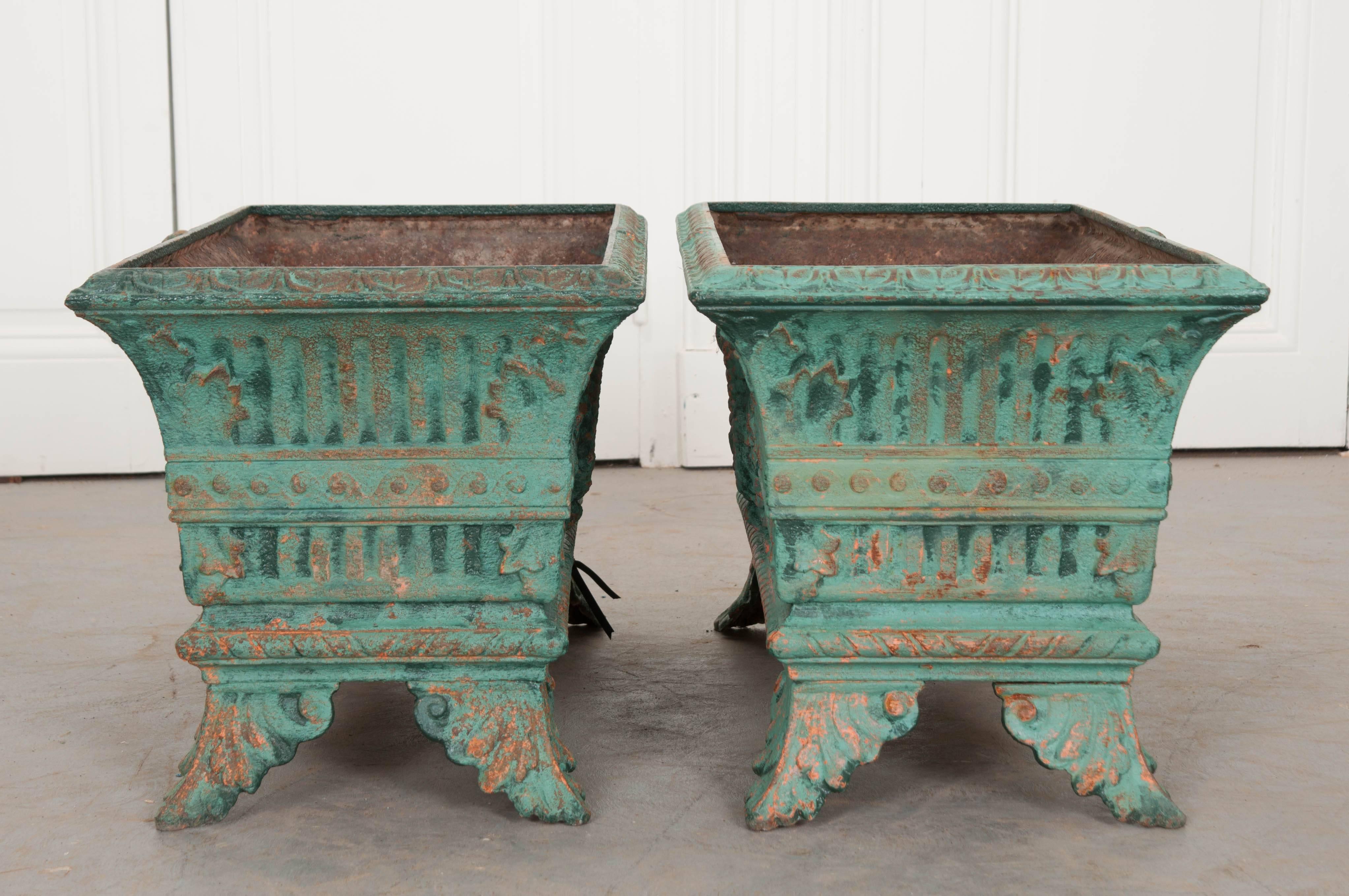 Pair of French 19th Century Cast-Iron Planters 5