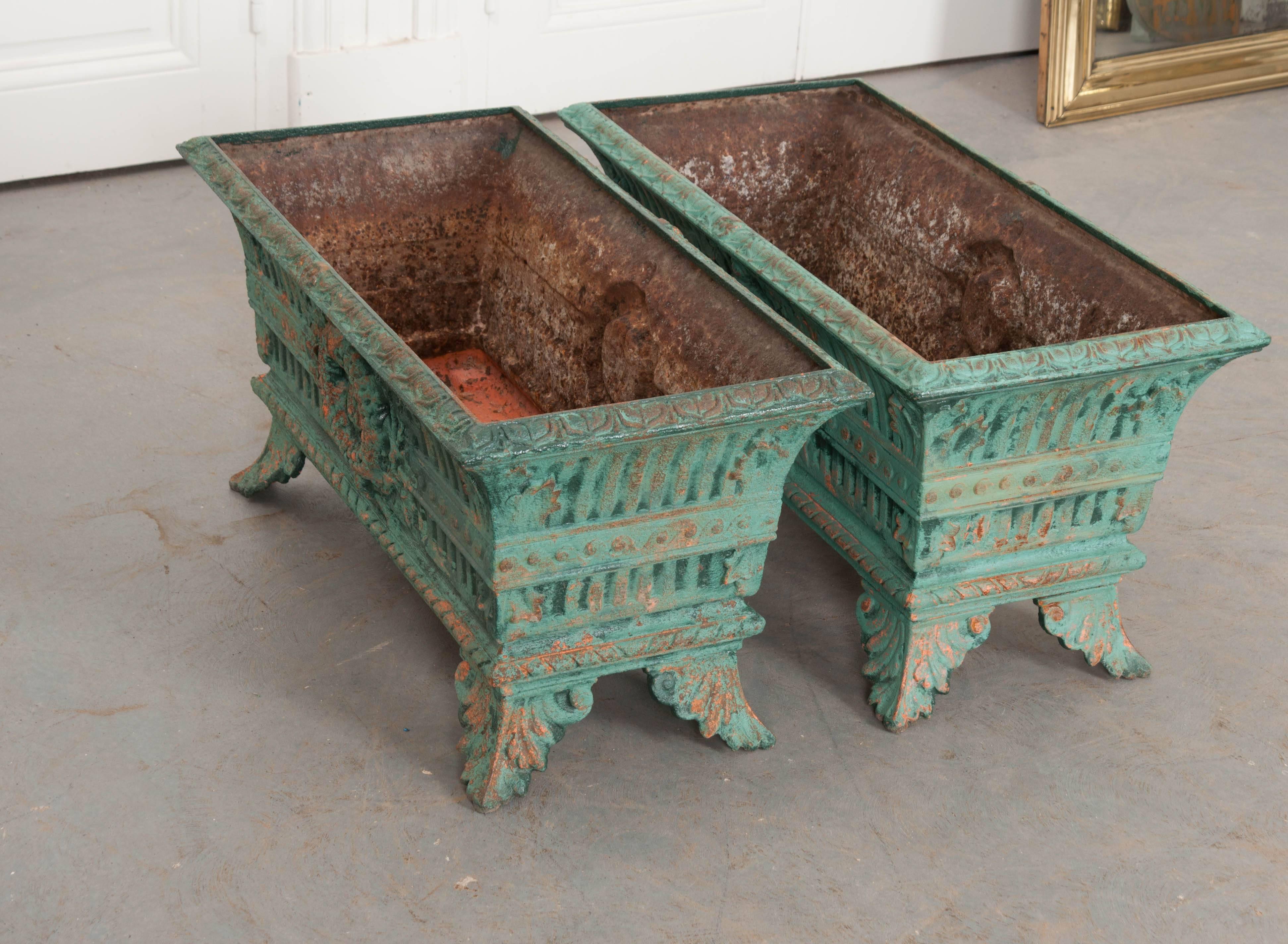 Pair of French 19th Century Cast-Iron Planters 7