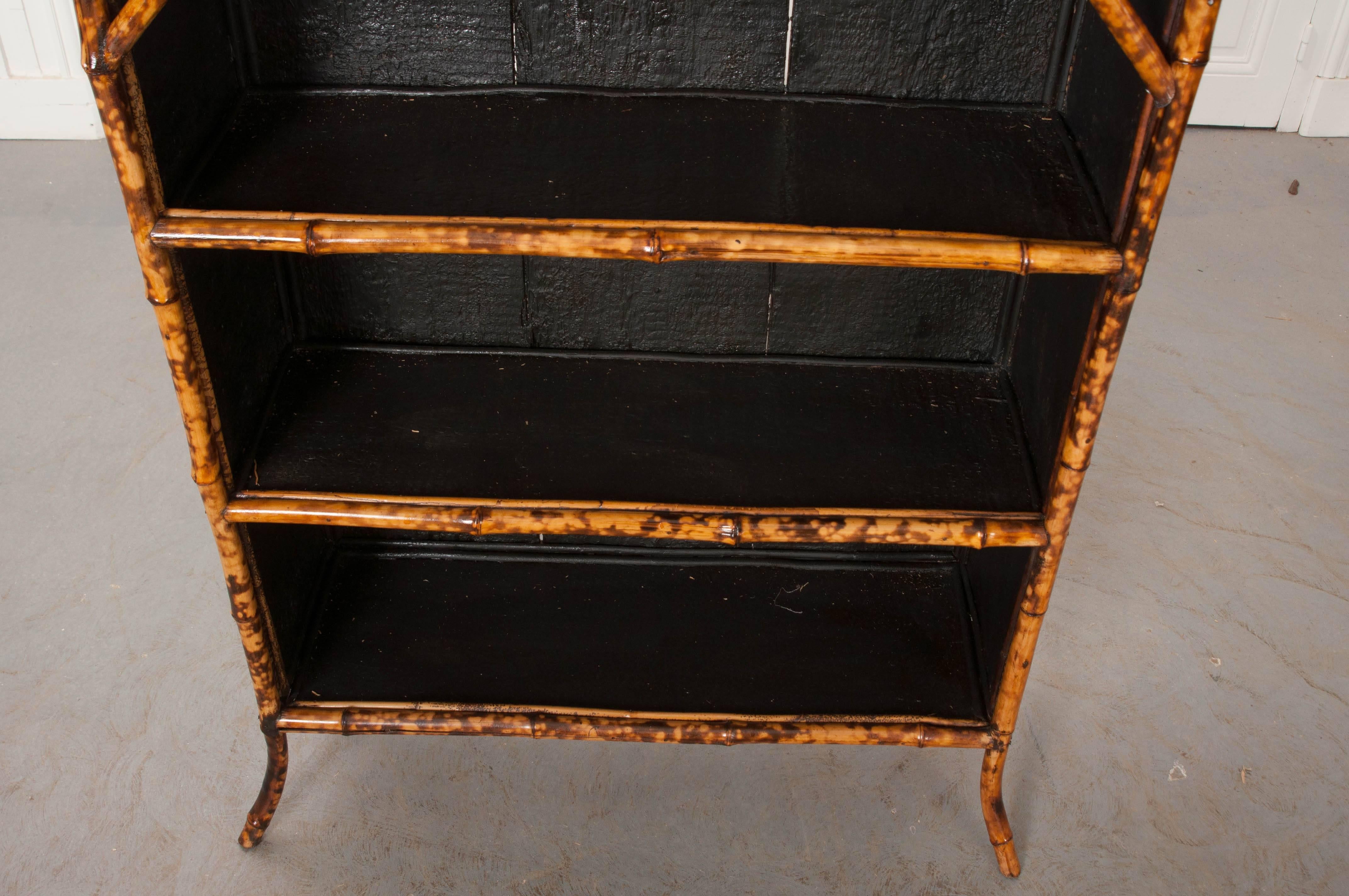 Victorian English 19th Century Bamboo Découpage Fish Bookcase