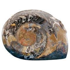 Decorative Objects