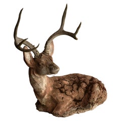 Concrete Deer with Real Antlers 9