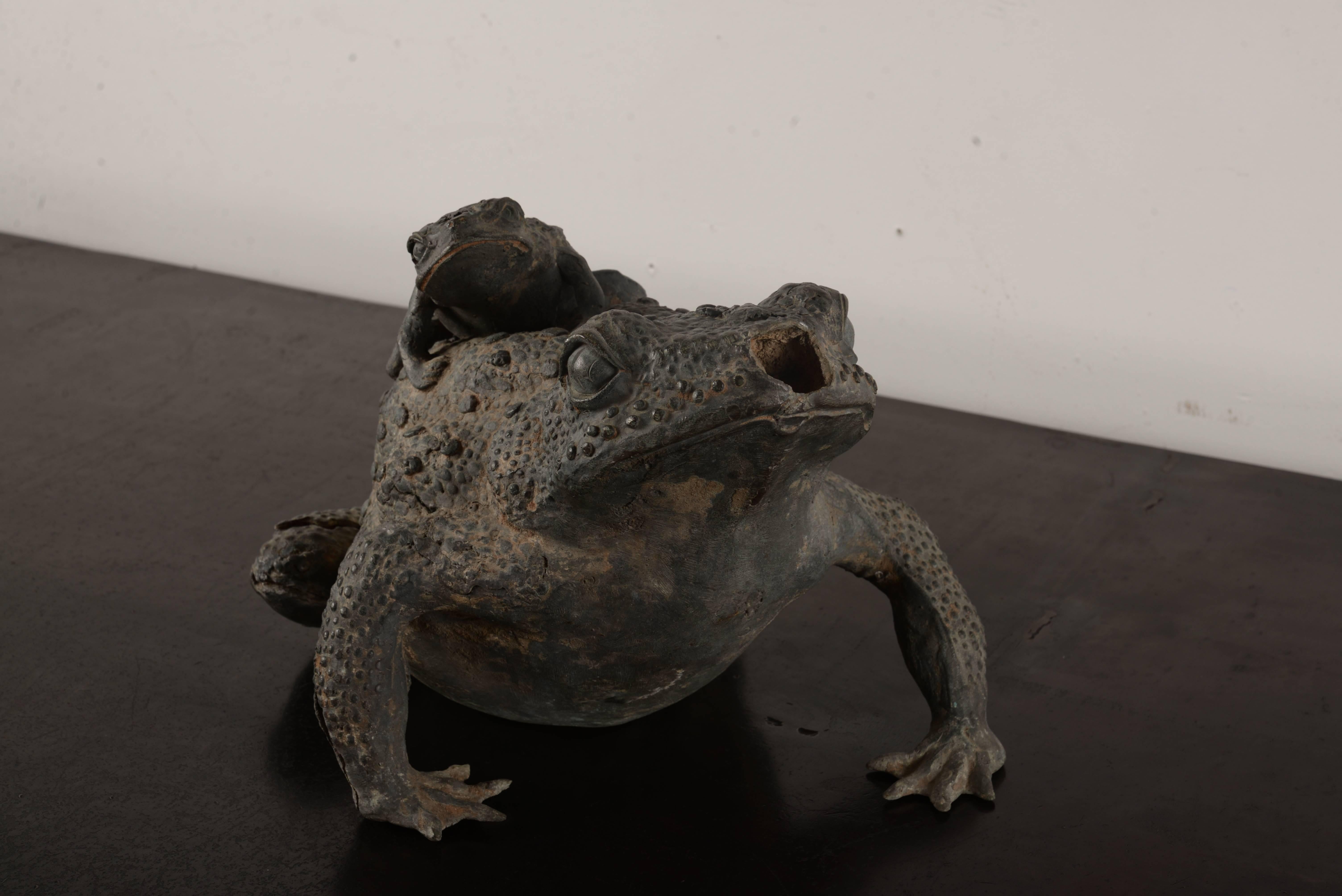 Beautifully cast bronze toad with a piggybacking youngster.