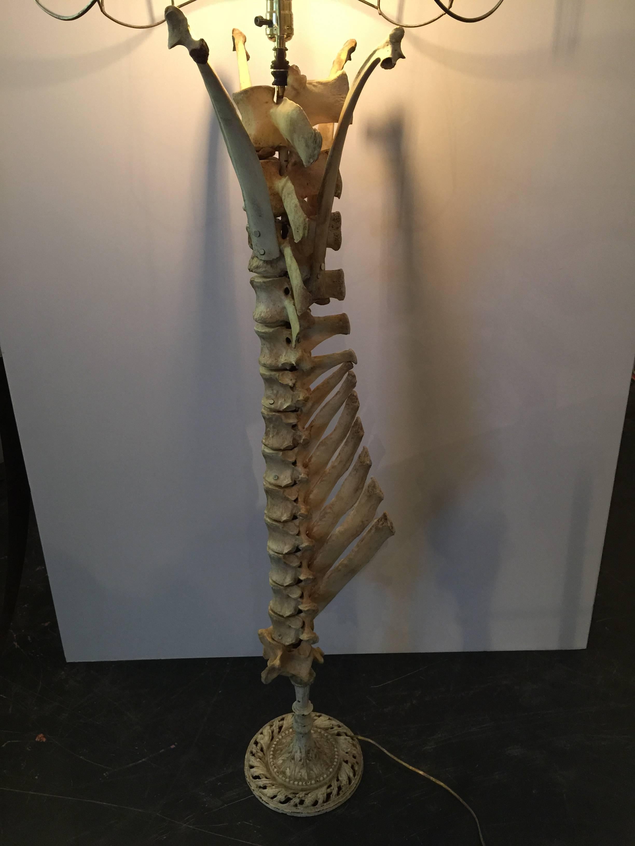 Vintage cow vertebrae floor lamp with Victorian wire shade.