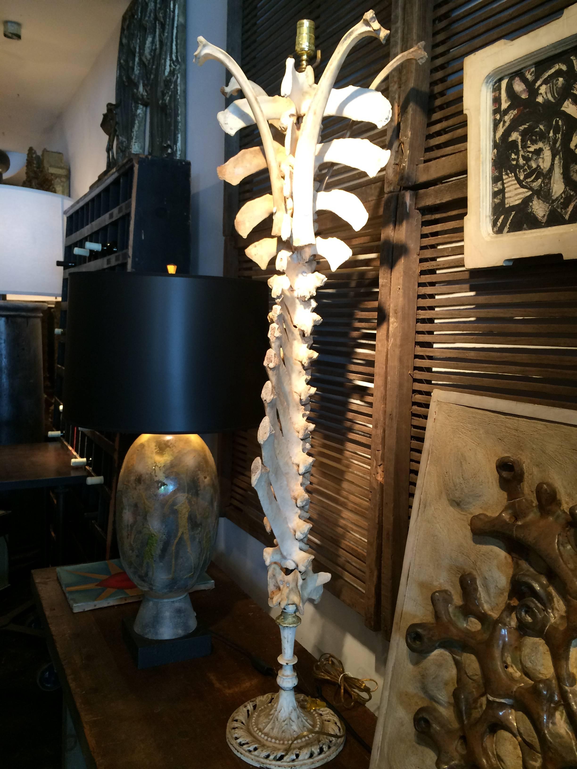 American Cow Spine Floor Lamp