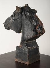Cast Iron Horse Head