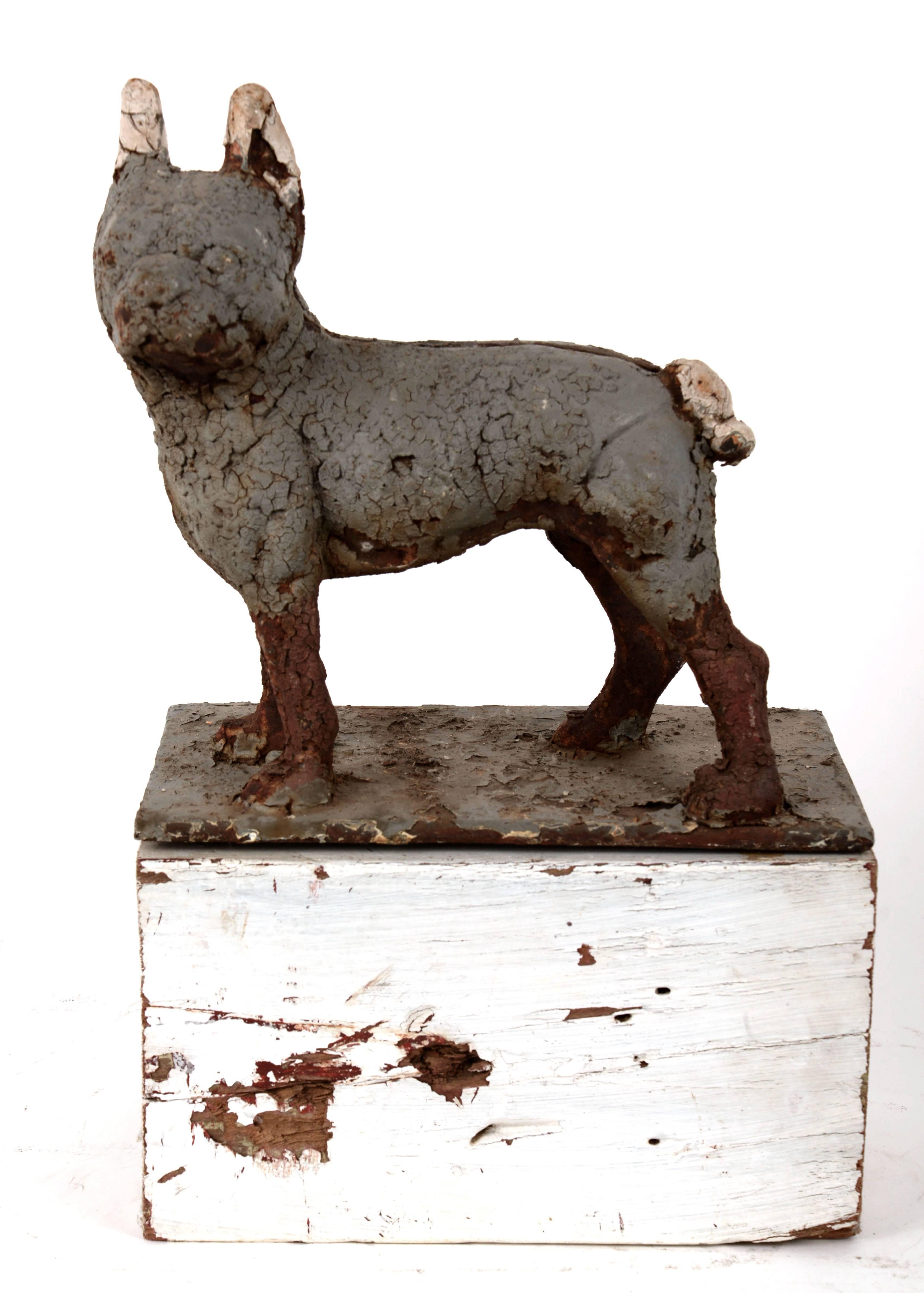 Heavily distressed cast iron Boston Terrier with remnants of gray and white paint. The dog and the cast iron plate are attached to a crudely cut and painted white block of wood.