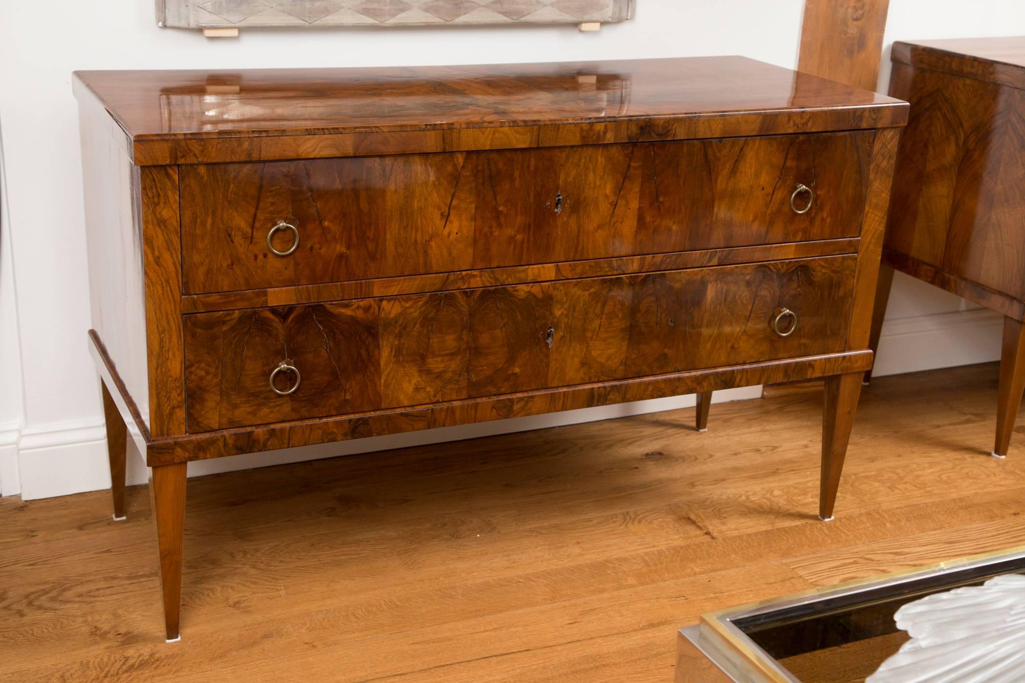 German Large Pair Of Neoclassical Biedermeier Chests In Walnut 