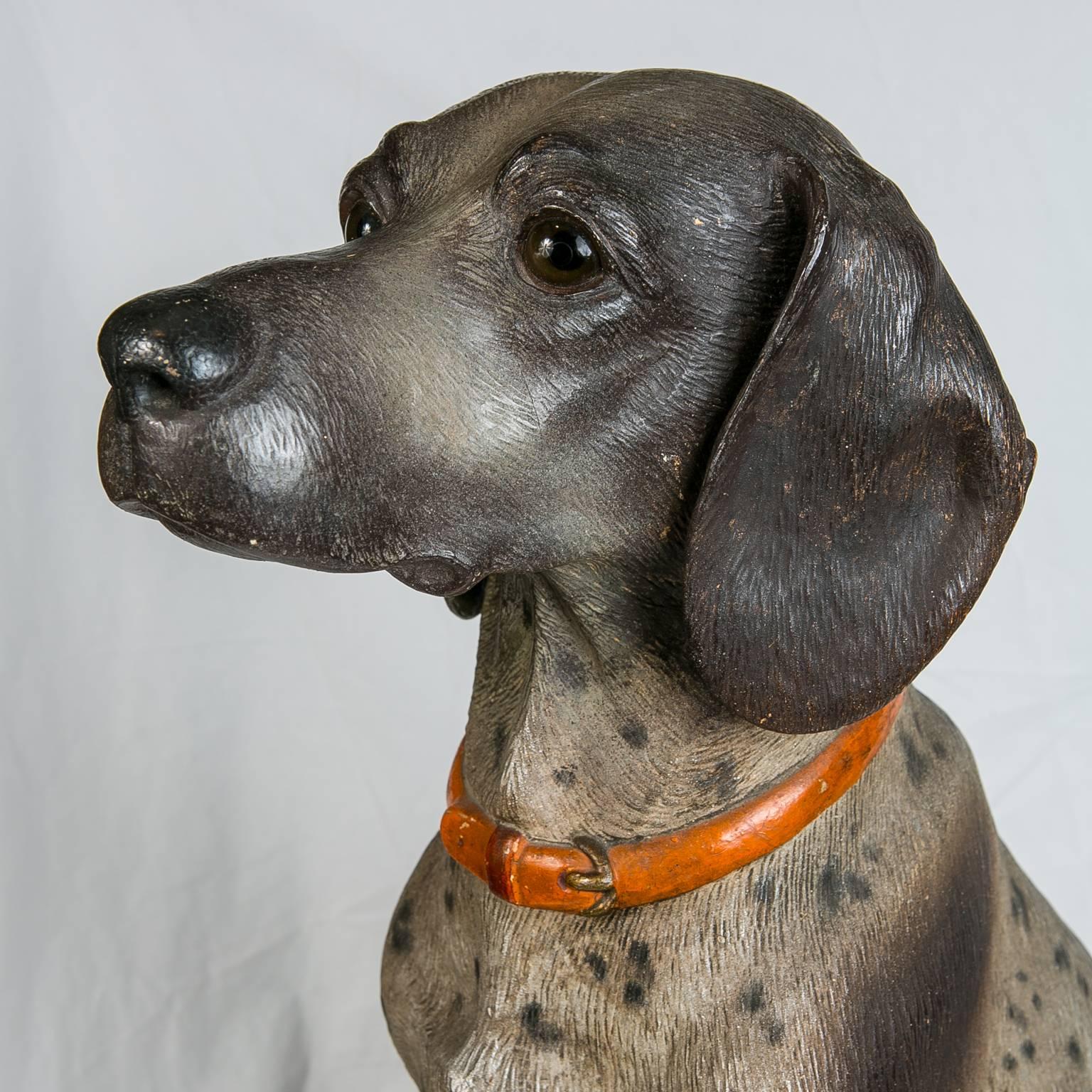 Austrian Hound Lifesize Cold Painted Antique In Excellent Condition In Katonah, NY