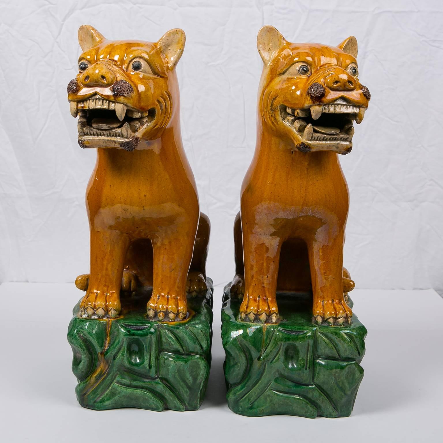 A pair of important Chinese lion dogs made in the Jiaqing reign, circa 1800. The bodies have a beautiful sancai glaze in a striking raw sienna color. They are modeled with fierce faces, their mouths open, their teeth showing in a snarl. Facing